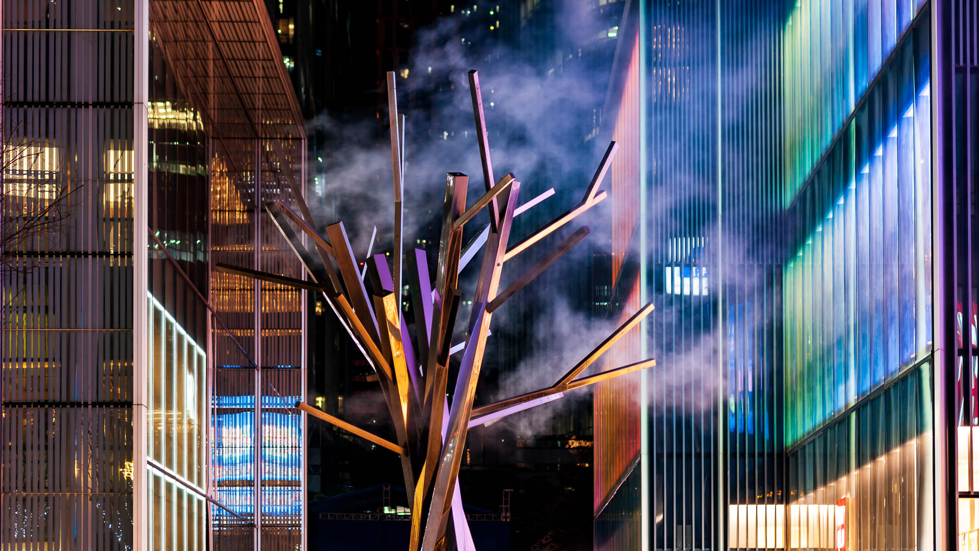 China — Shenzhen — urban