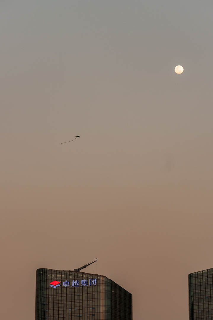 China — Shenzhen — urban