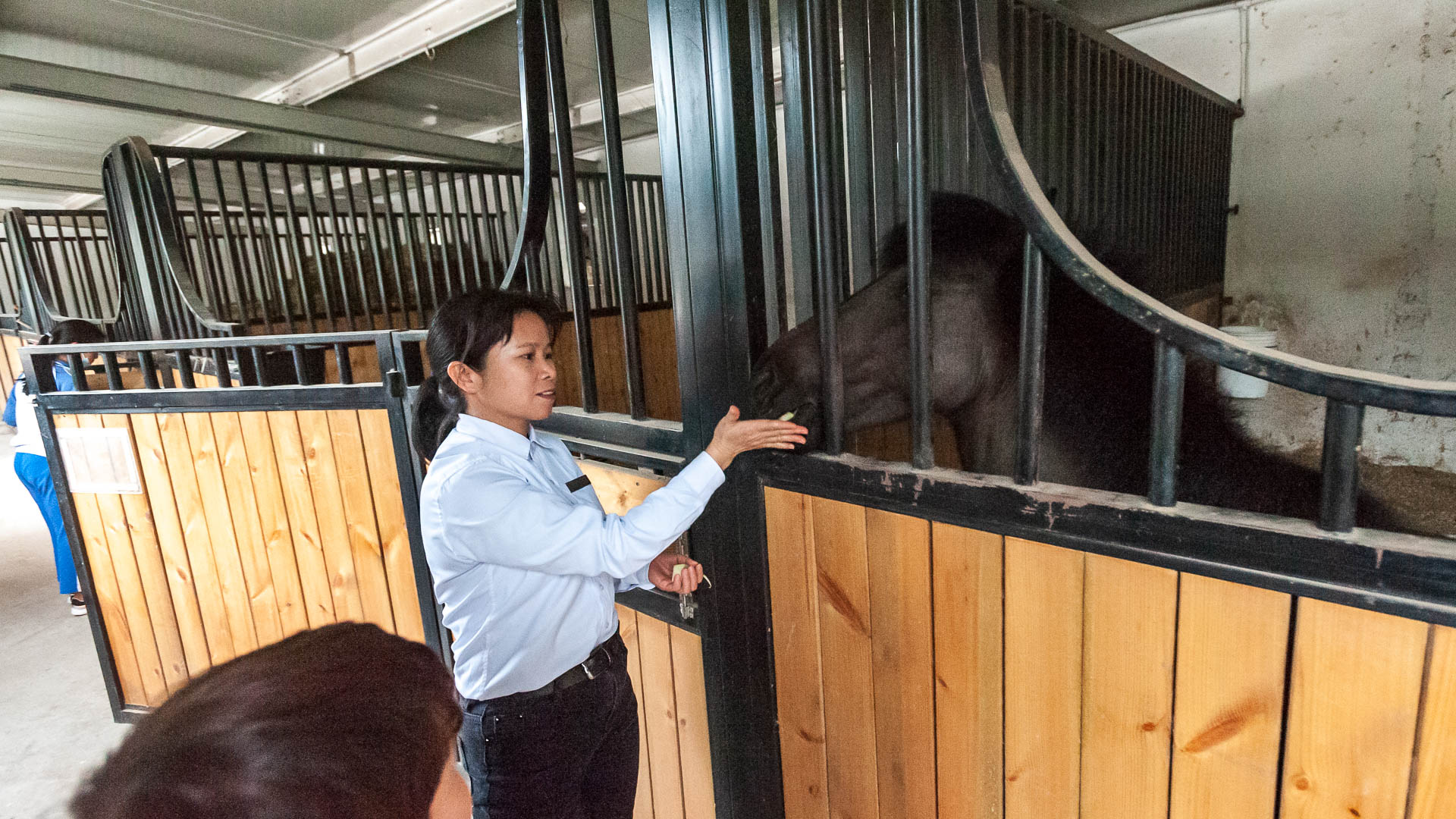 China — Guangdong, Shenzhen — event