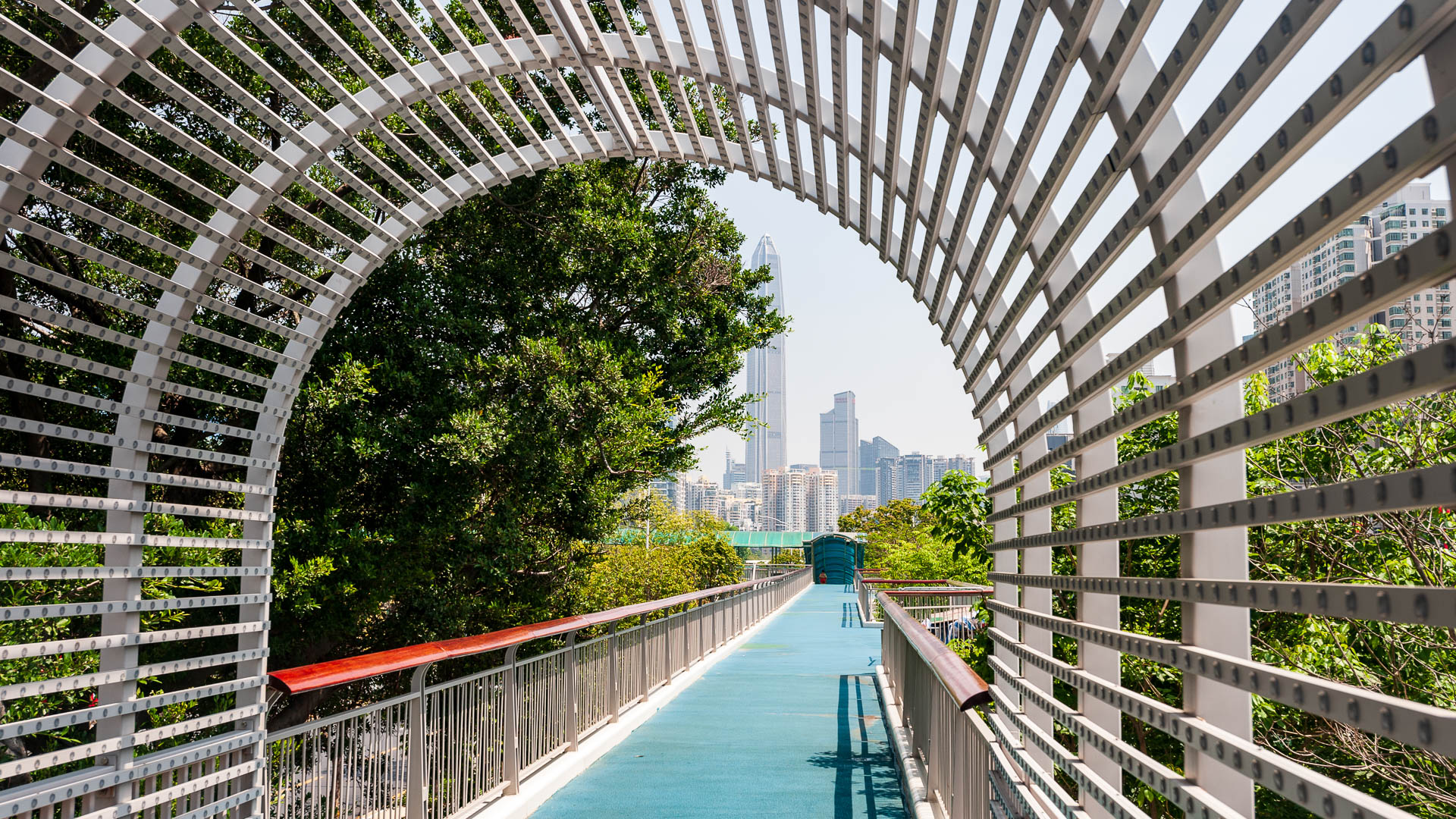 China — Shenzhen — urban