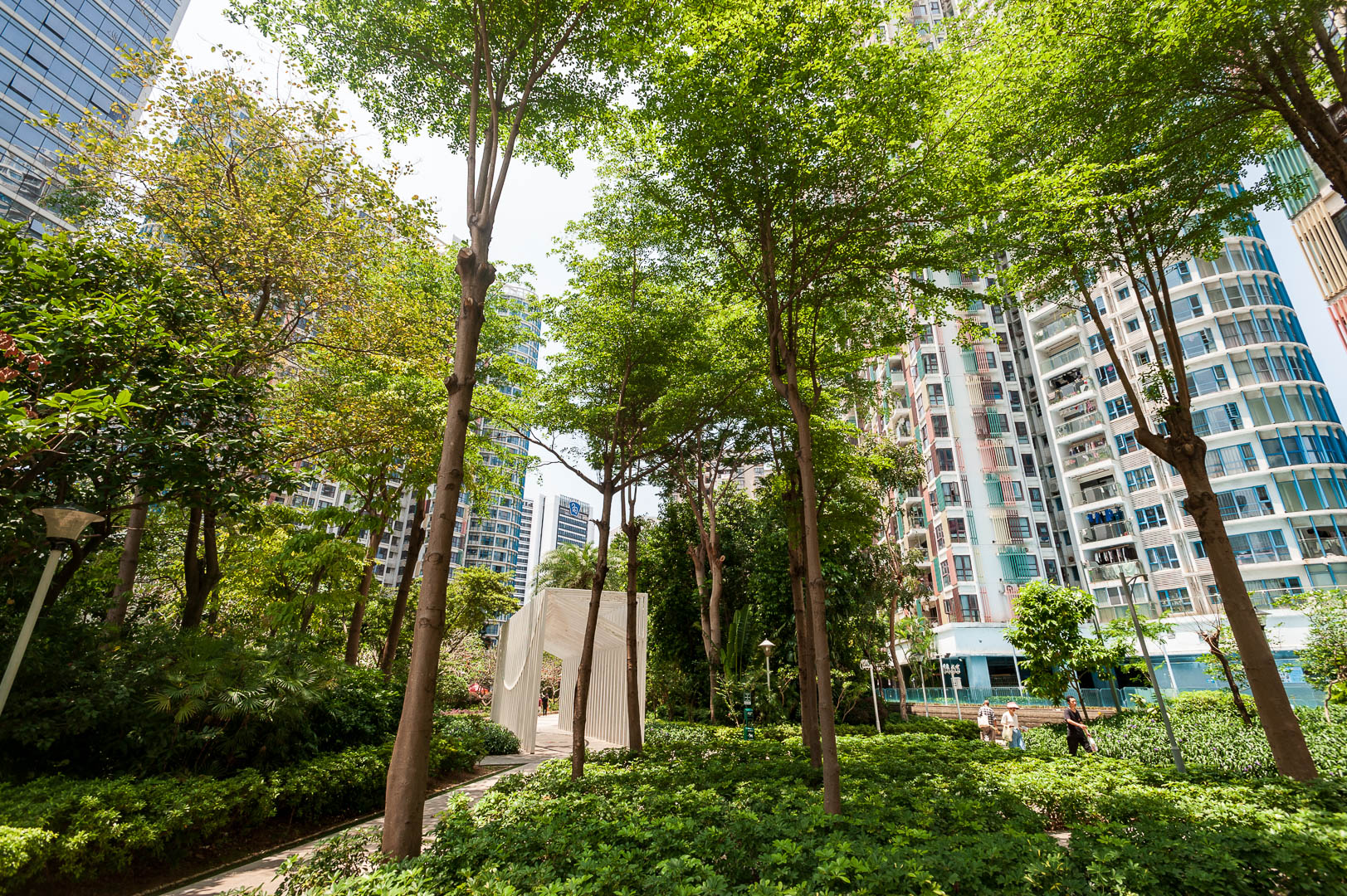 China — Shenzhen, Guangdong Province — urban