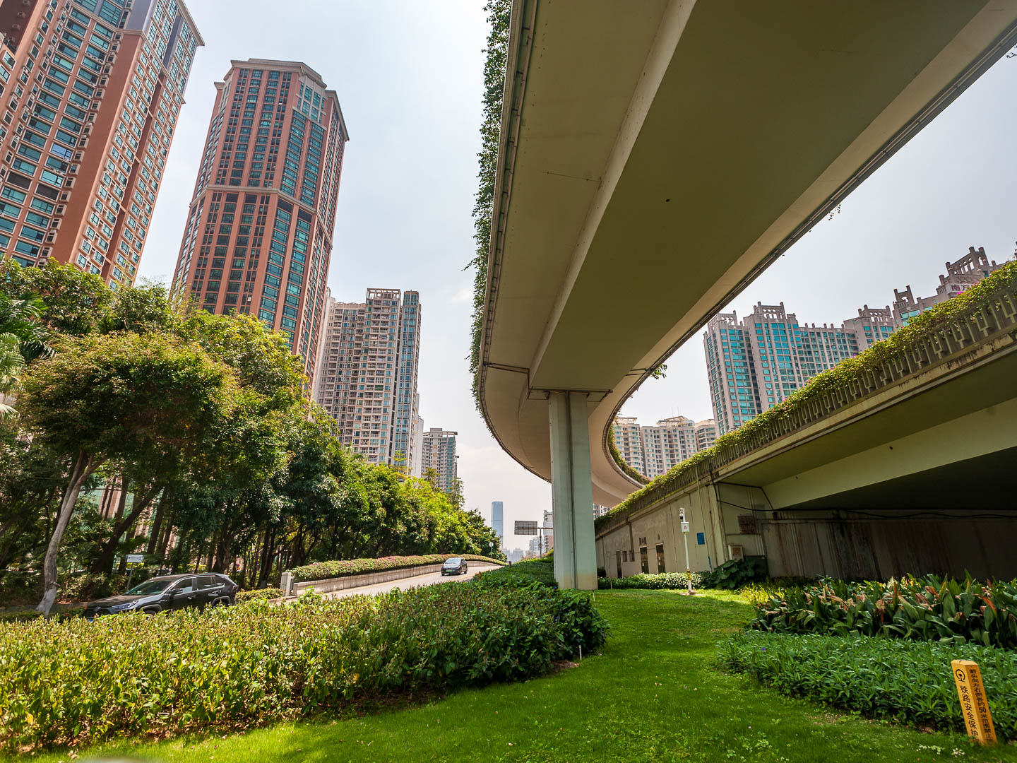 China — Shenzhen — urban