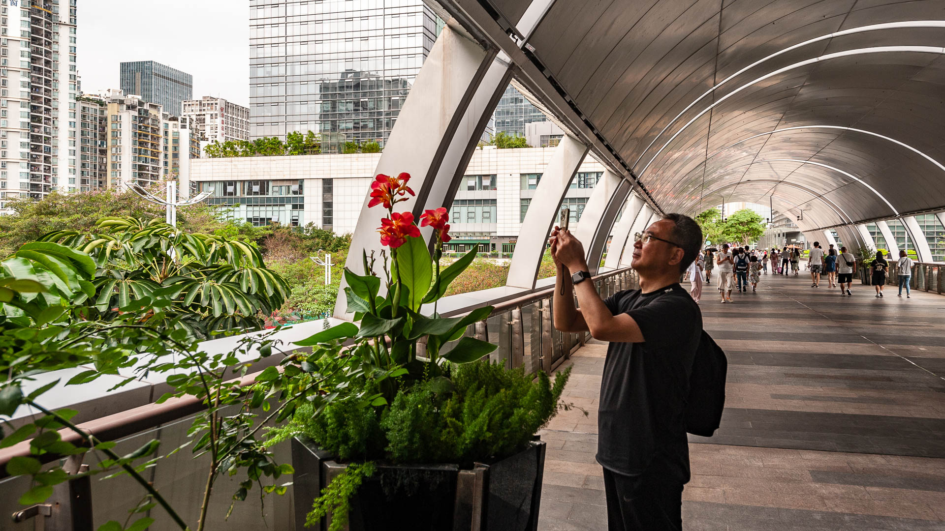 China — Shenzhen — urban