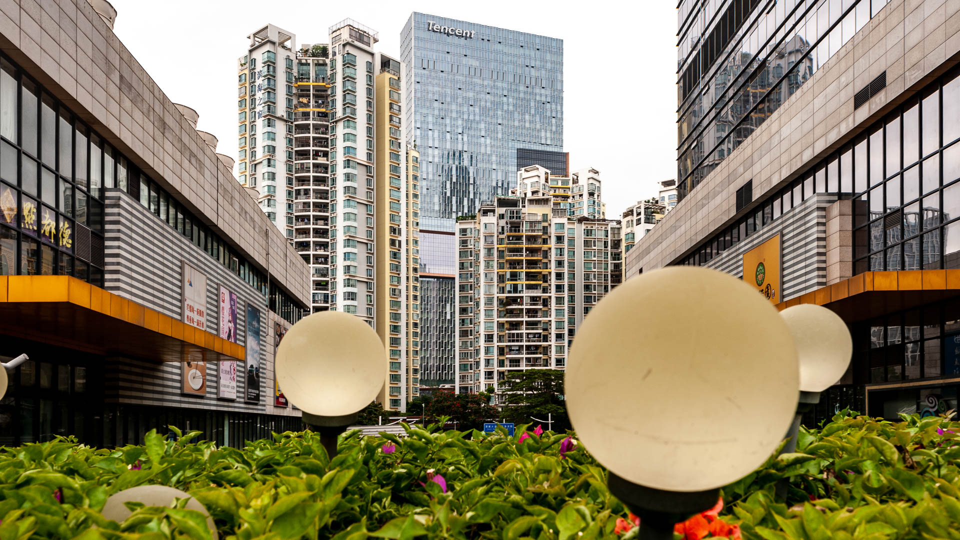 China — Shenzhen — urban