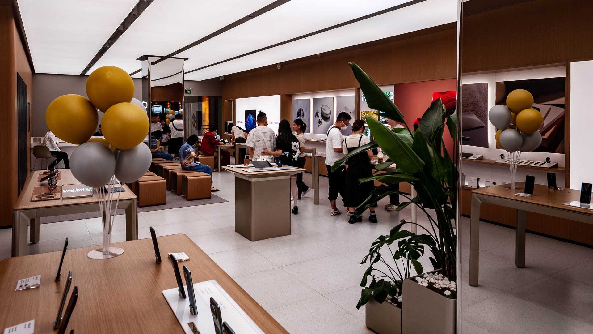 China — Shenzhen — urban