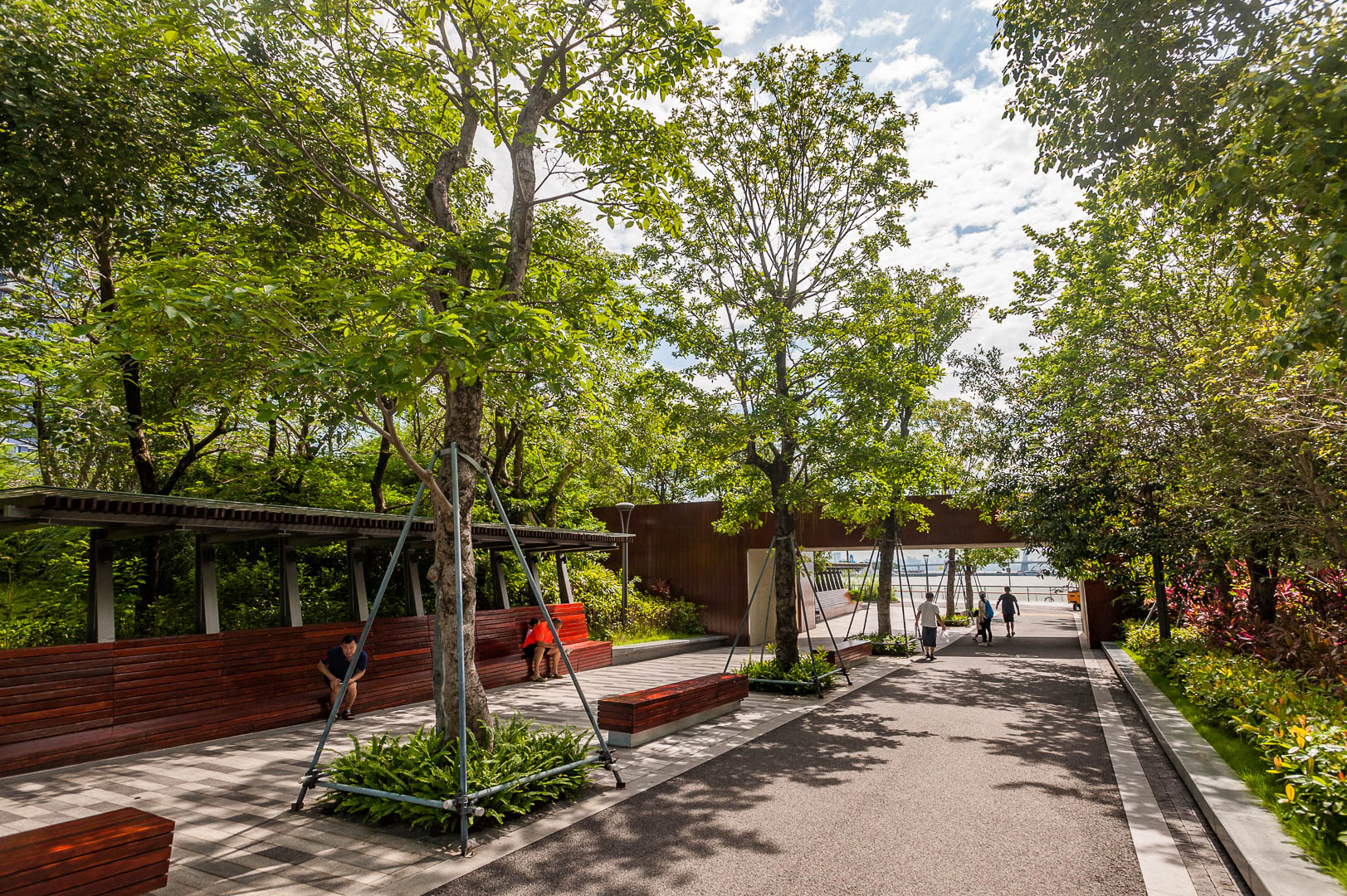 China — Shenzhen — landscape