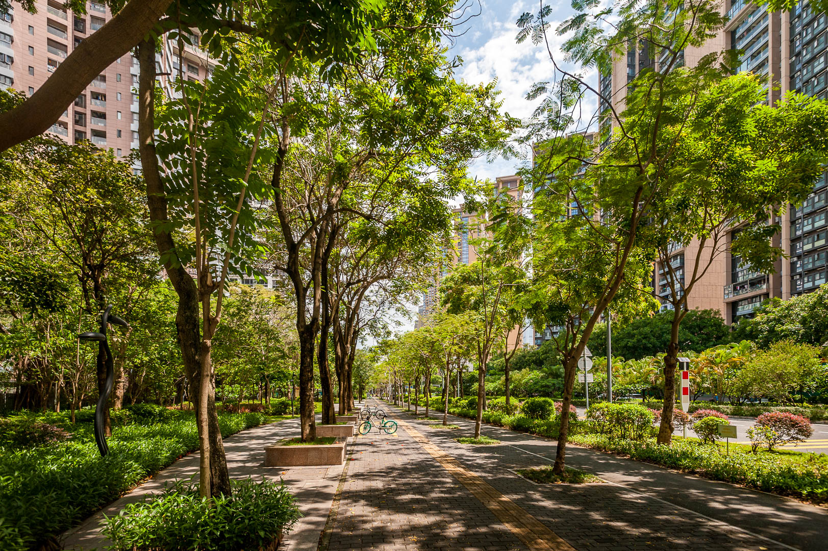 China — Shenzhen — urban