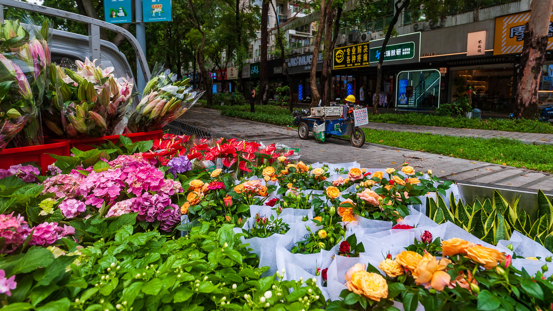 China — Shenzhen, Guangdong Province — urban