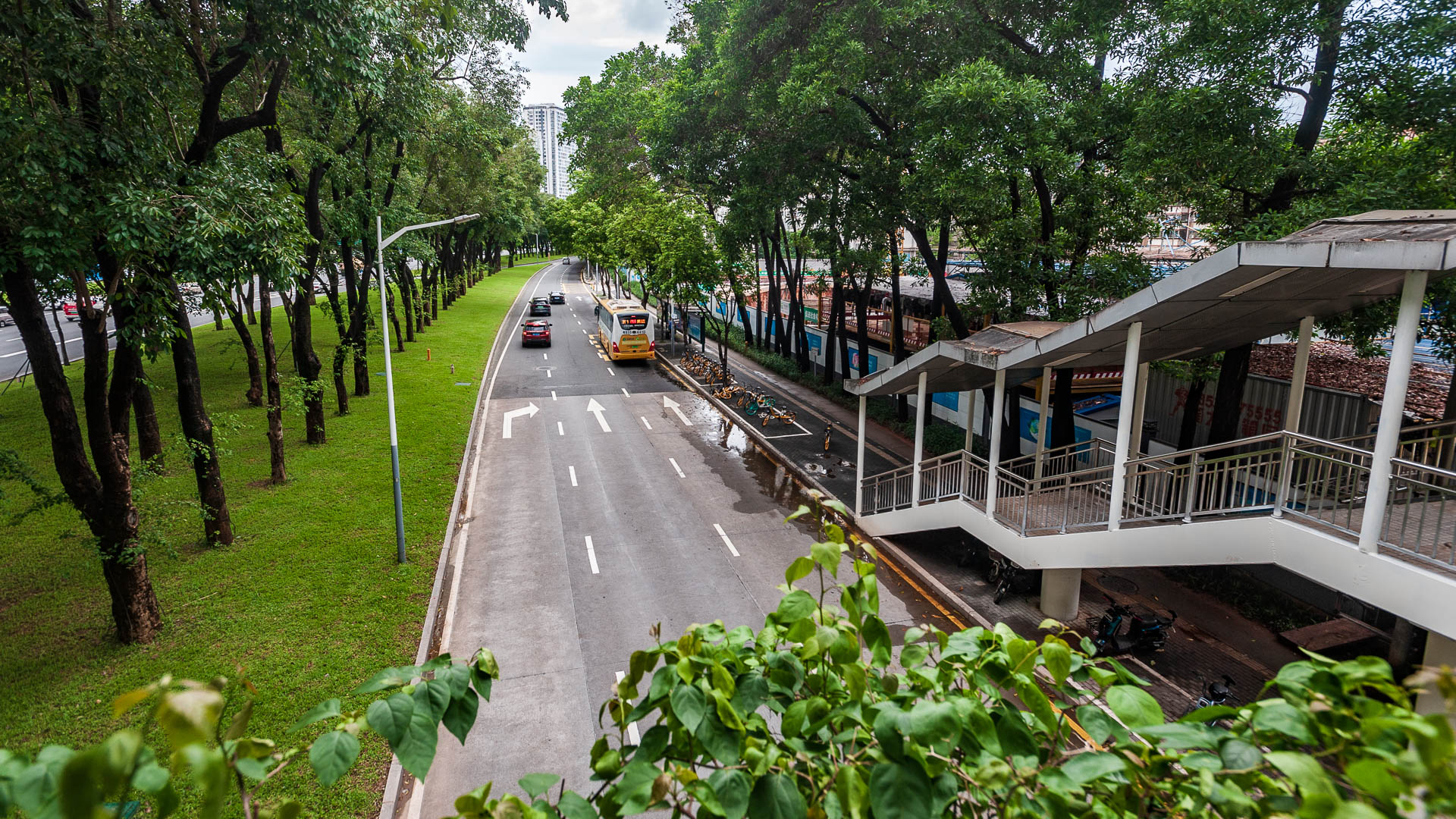 China — Shenzhen, Guangdong — urban