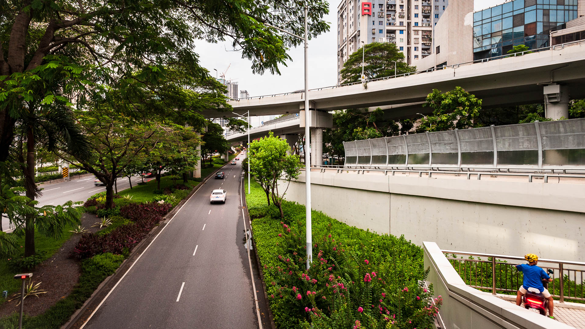 China — Shenzhen, Guangdong Province — urban