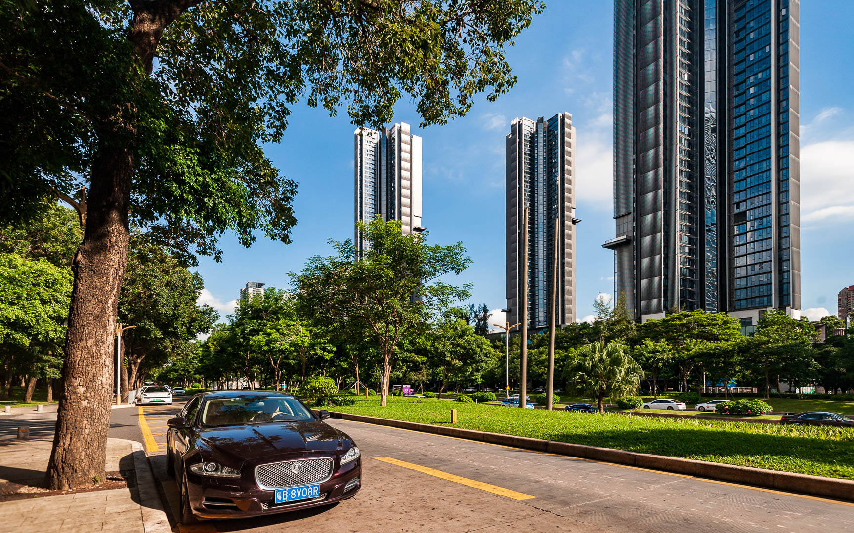 China — Guangdong Province, Shenzhen — urban