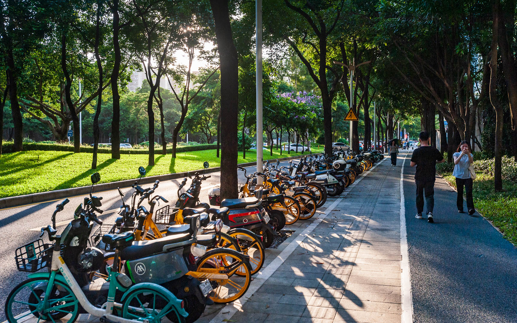 China — Shenzhen, Guangdong — urban