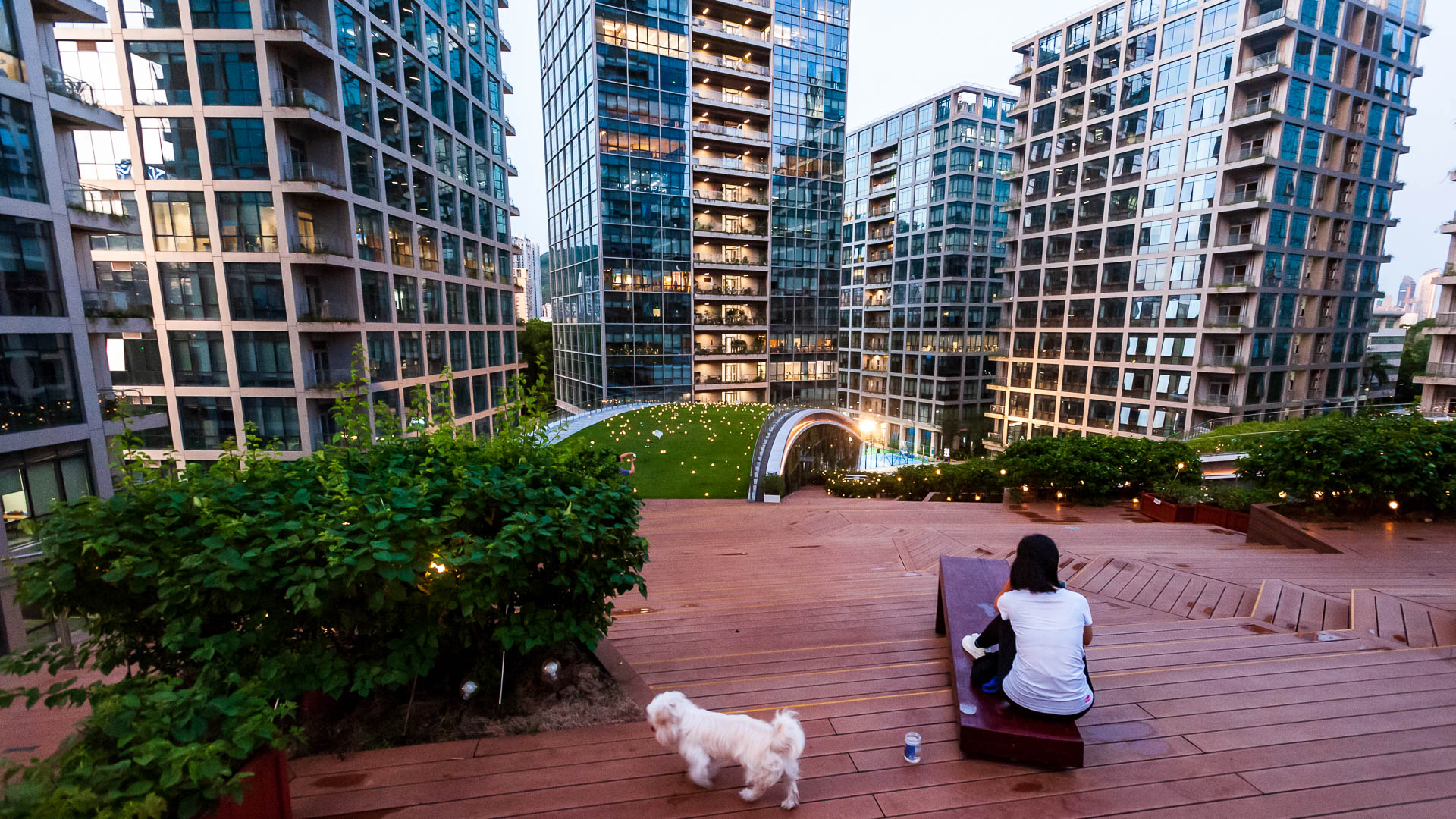 China — Shenzhen — urban