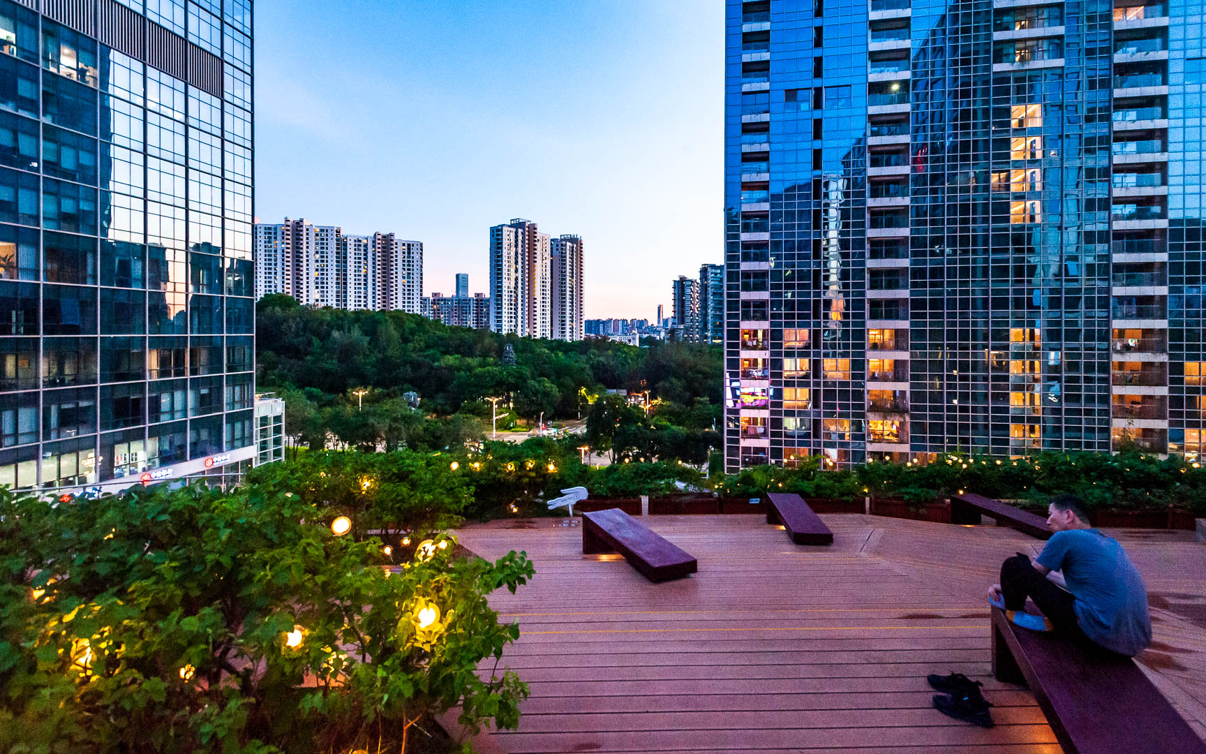 China — Shenzhen — urban