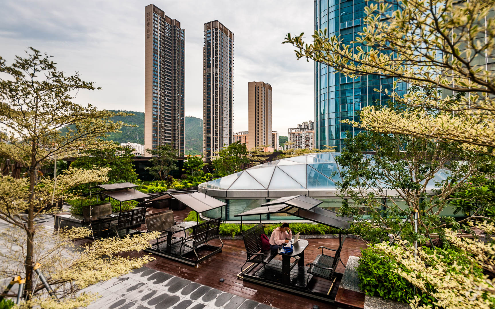 China — Shenzhen — urban