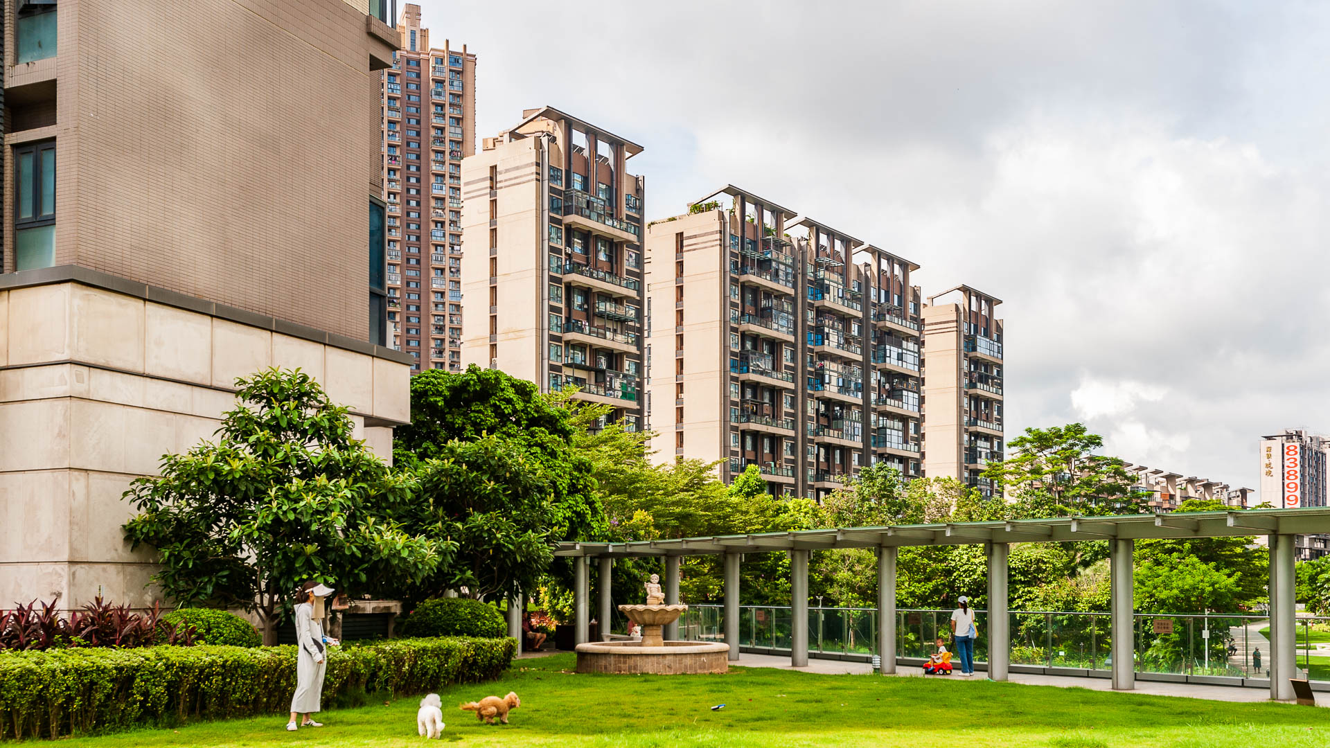 China — Shenzhen — urban