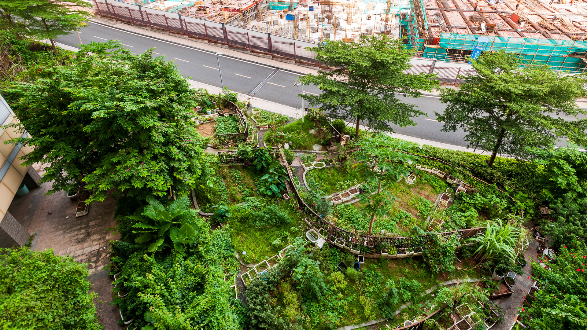 China — Shenzhen — aerial