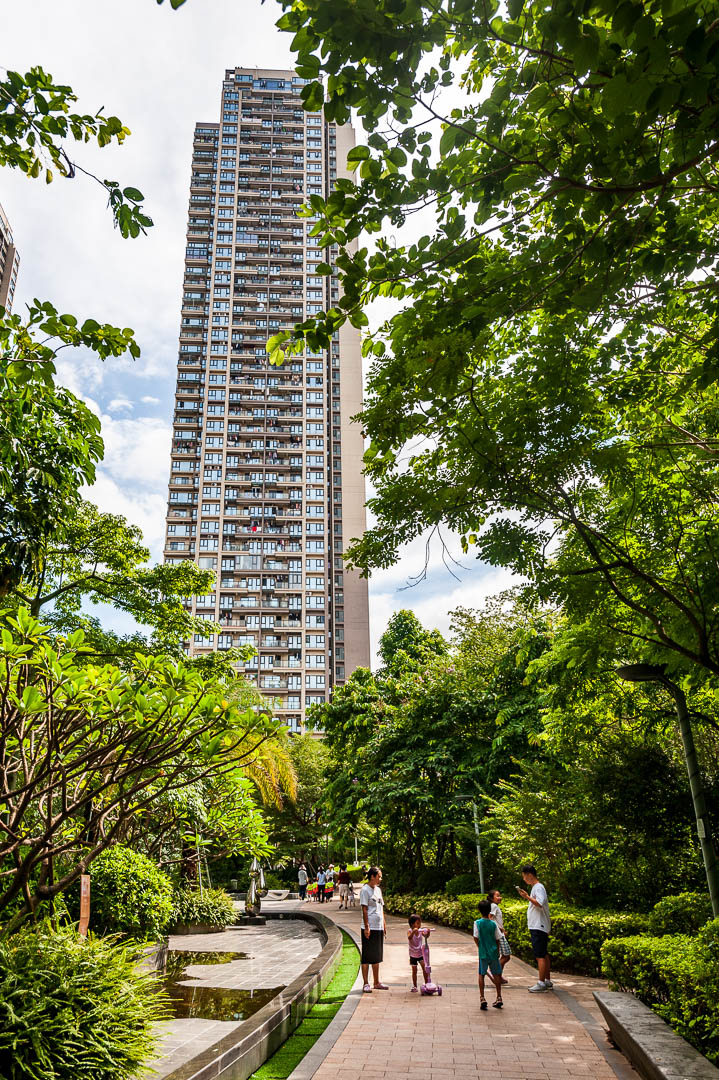 China — Shenzhen — urban