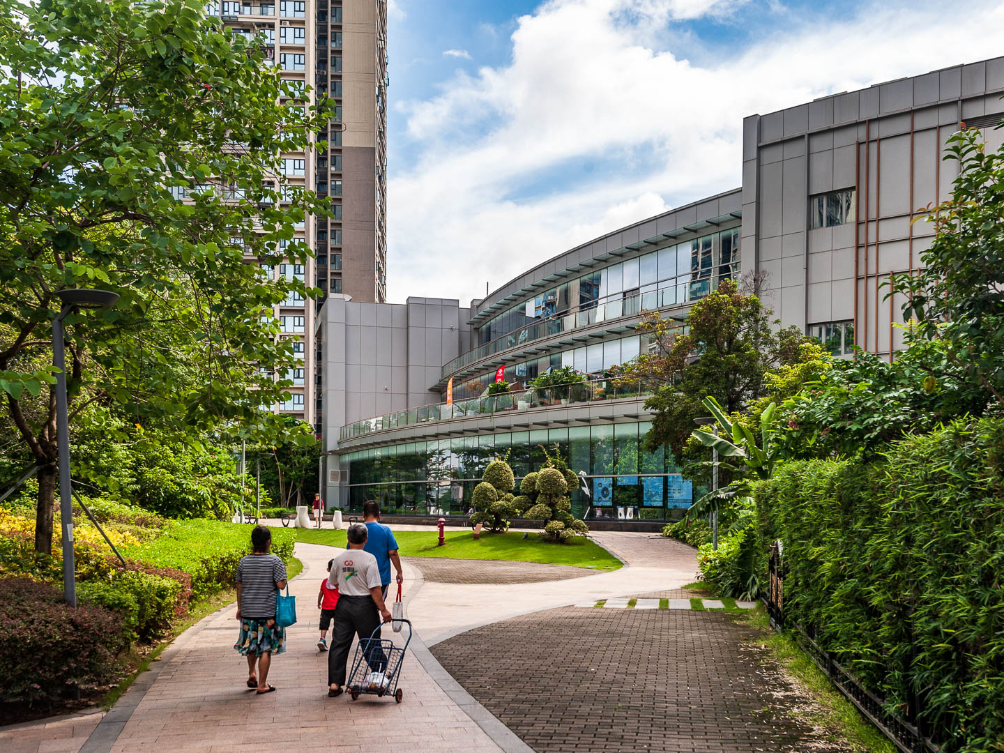 China — Shenzhen — urban