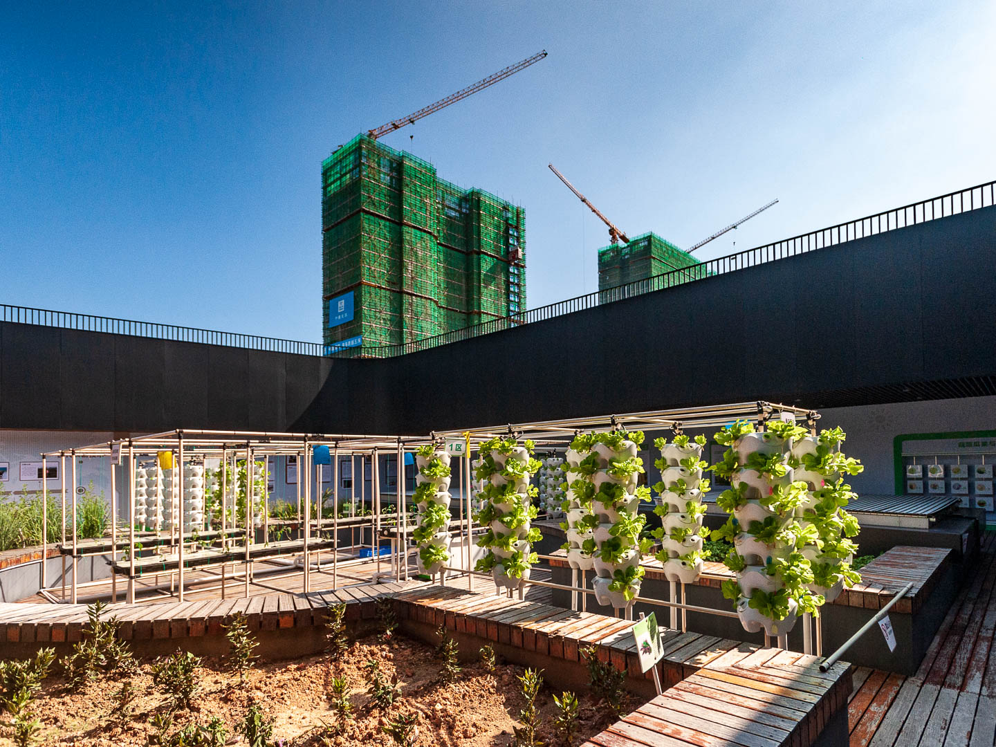 China — Shenzhen — urban