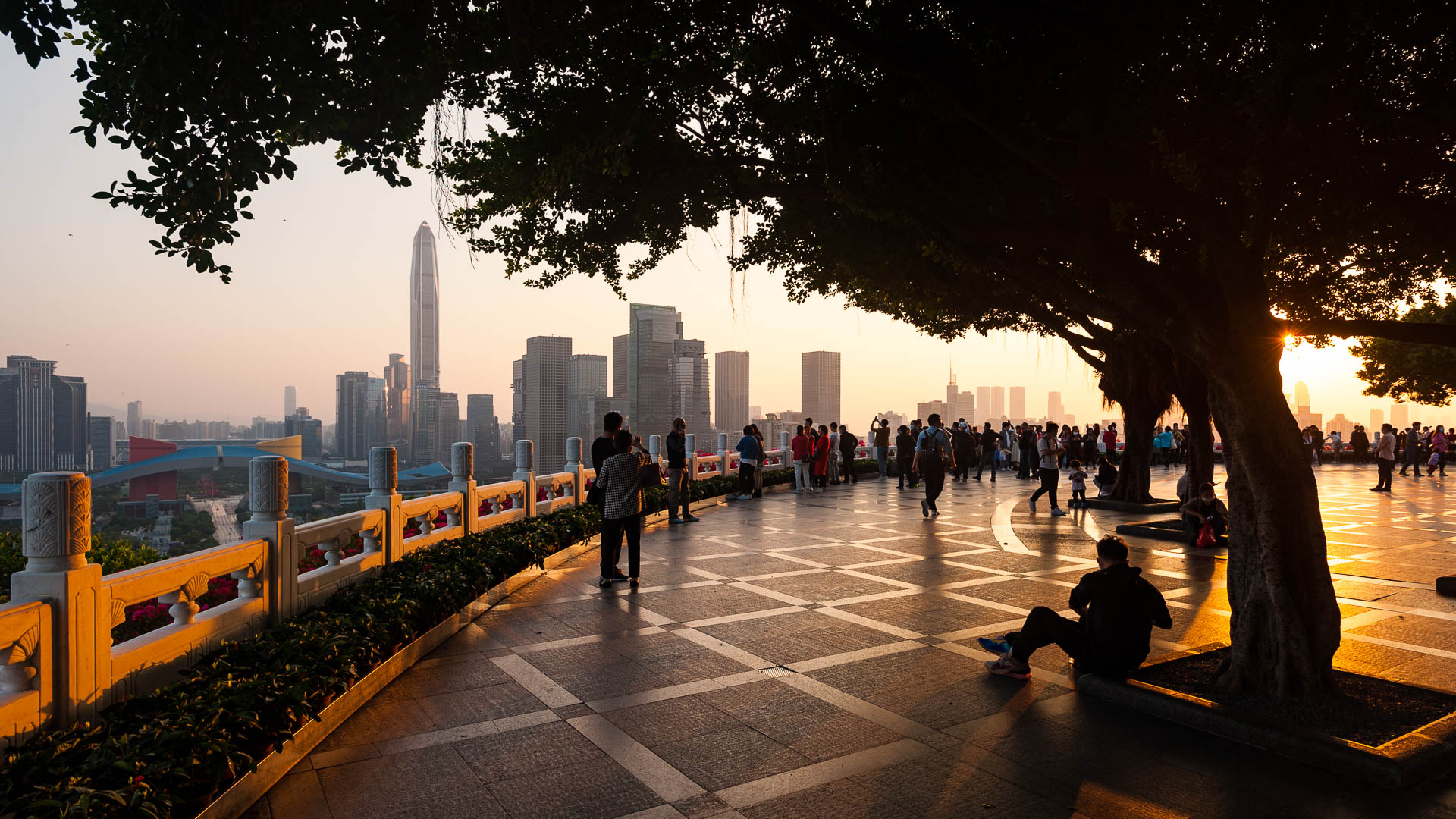 China — Shenzhen, Guangdong Province — landscape