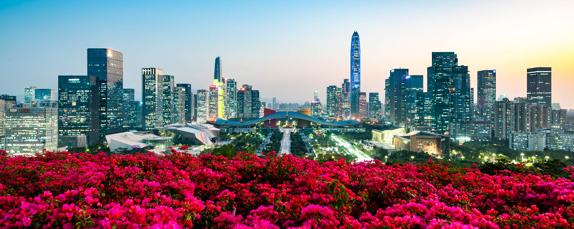 China — Shenzhen, Guangdong Province (view from Lianhua Mountain Park) — urban