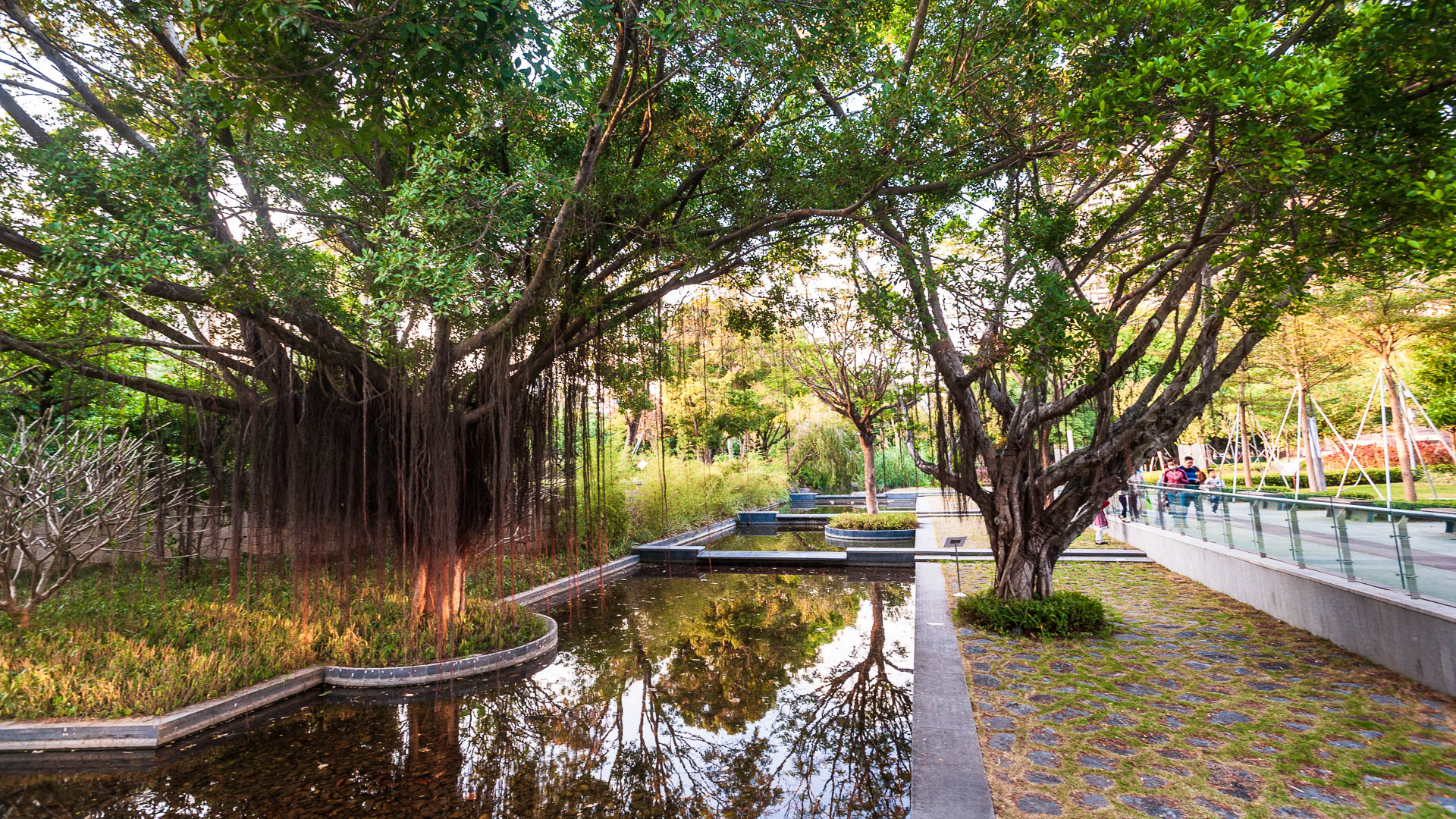 China — Shenzhen — landscape