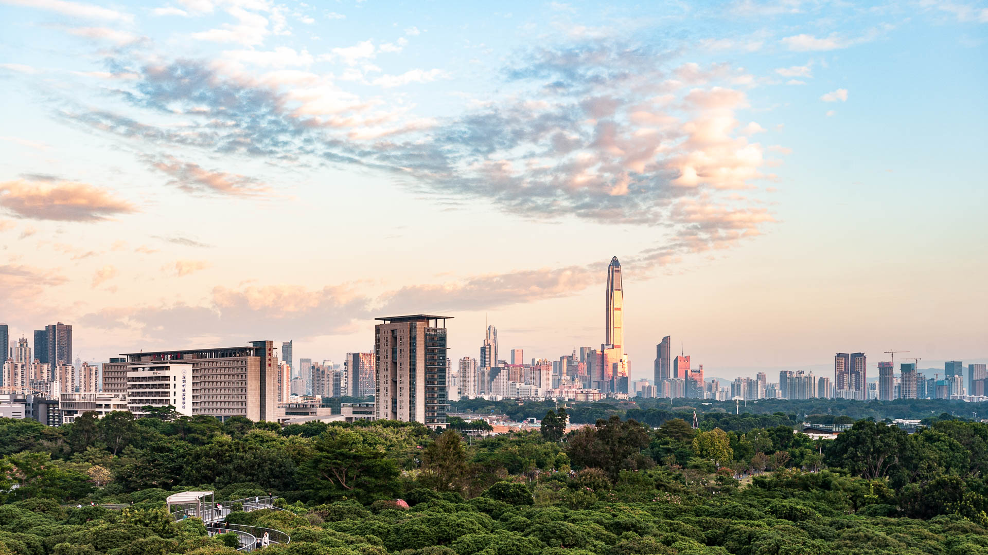 China — Shenzhen, Guangdong Province — urban
