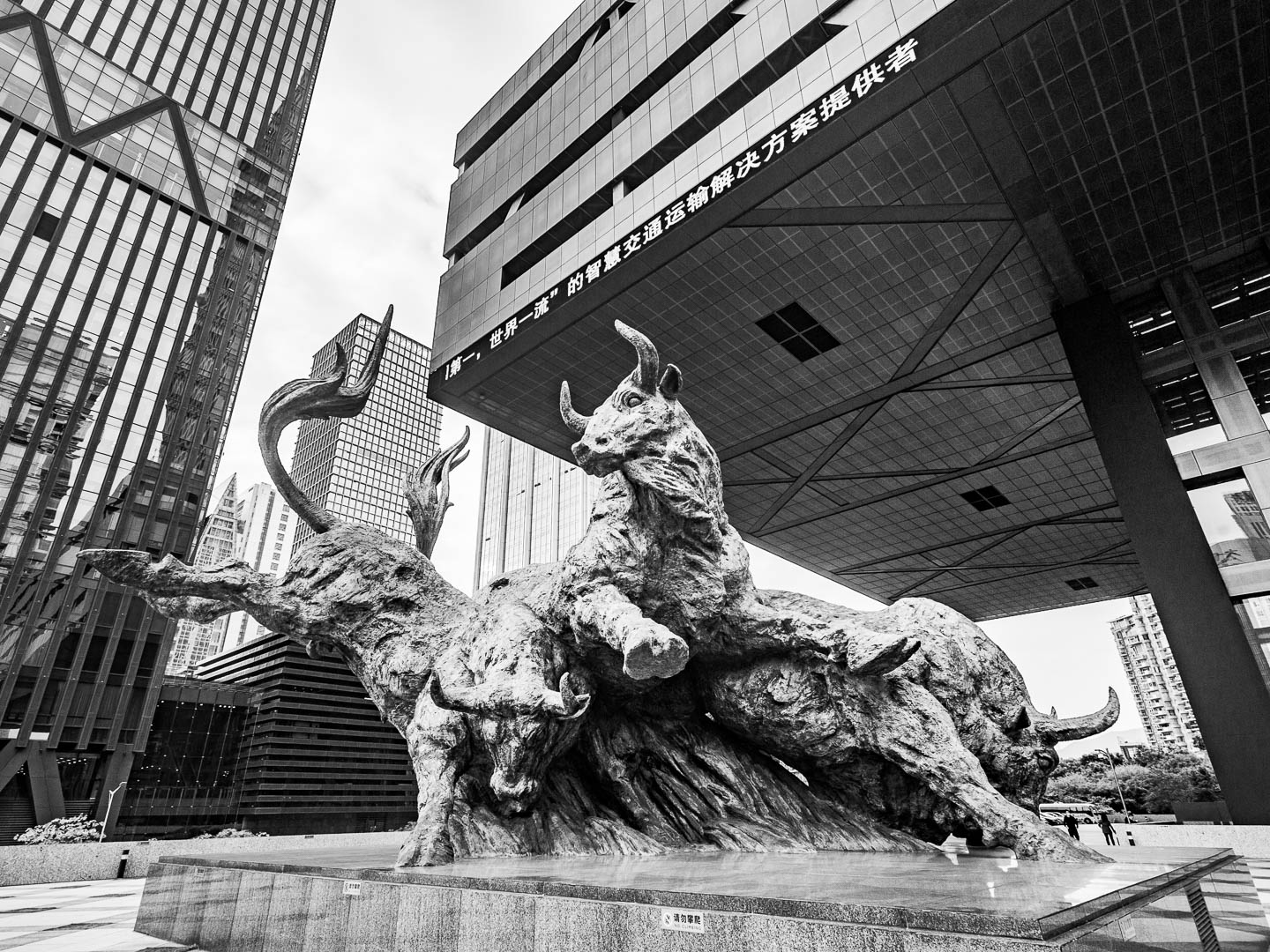 China — Shenzhen — urban