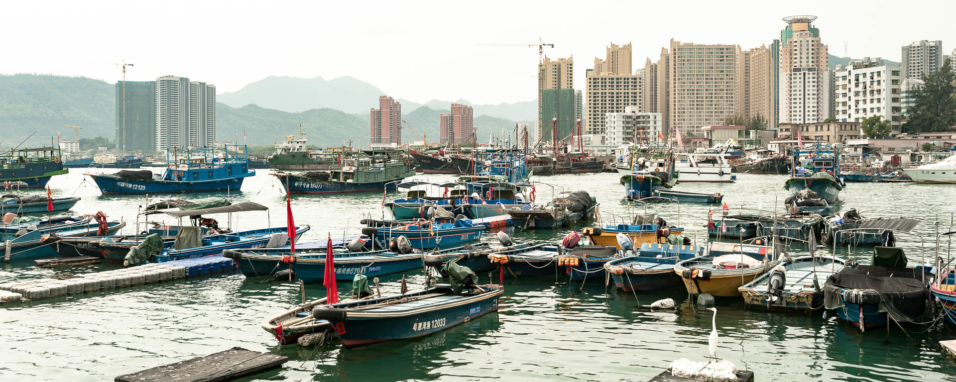 China — Shenzhen, Guangdong — landscape