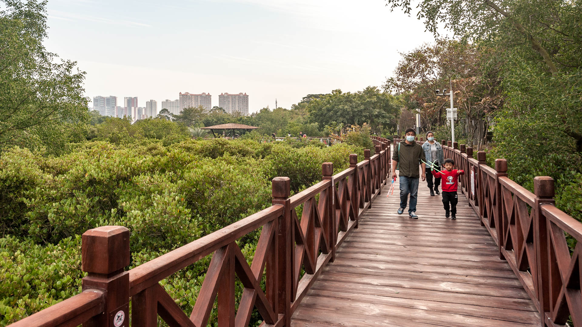 China — Shenzhen, Guangdong — landscape