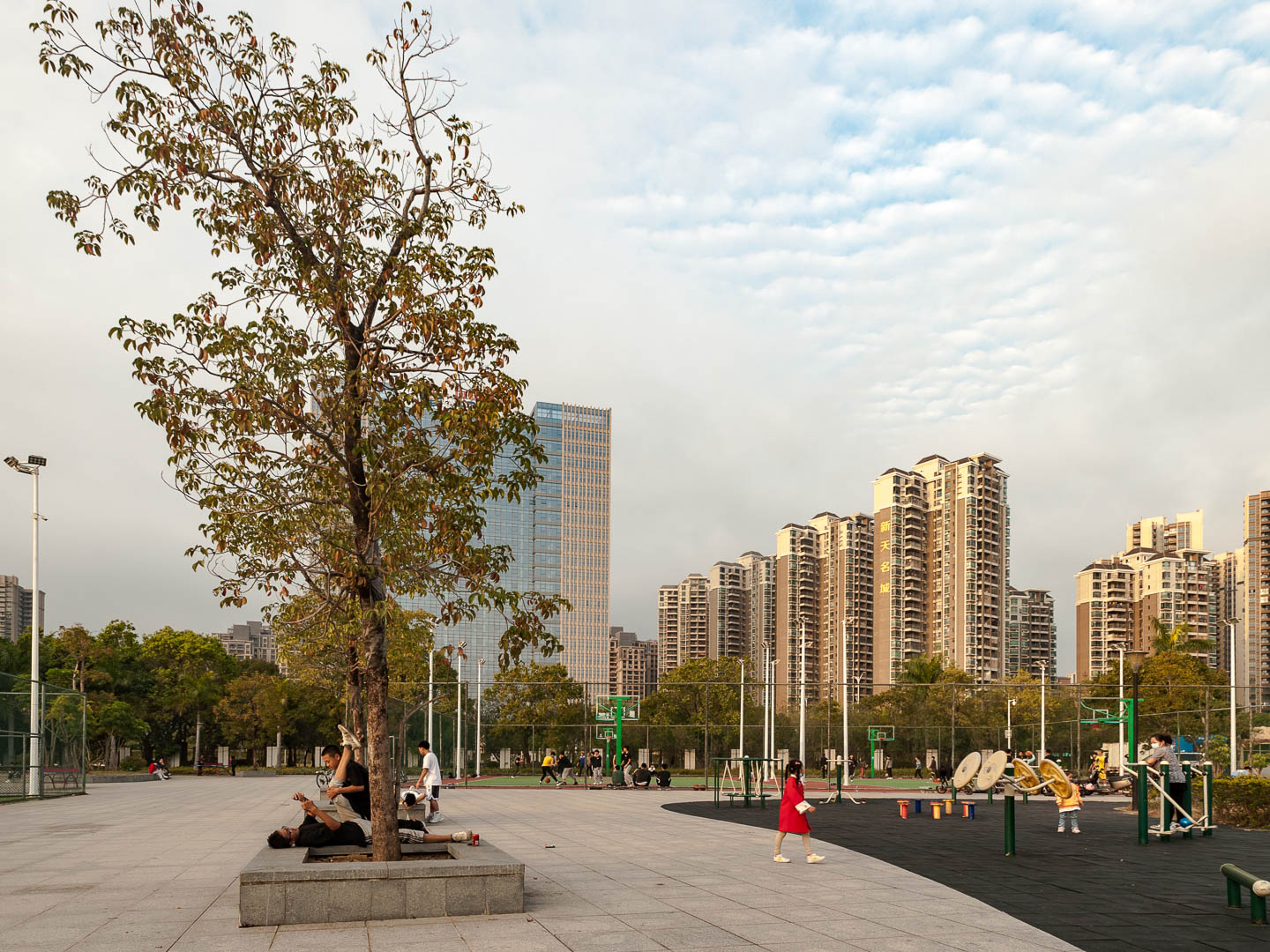 China — Shenzhen — urban