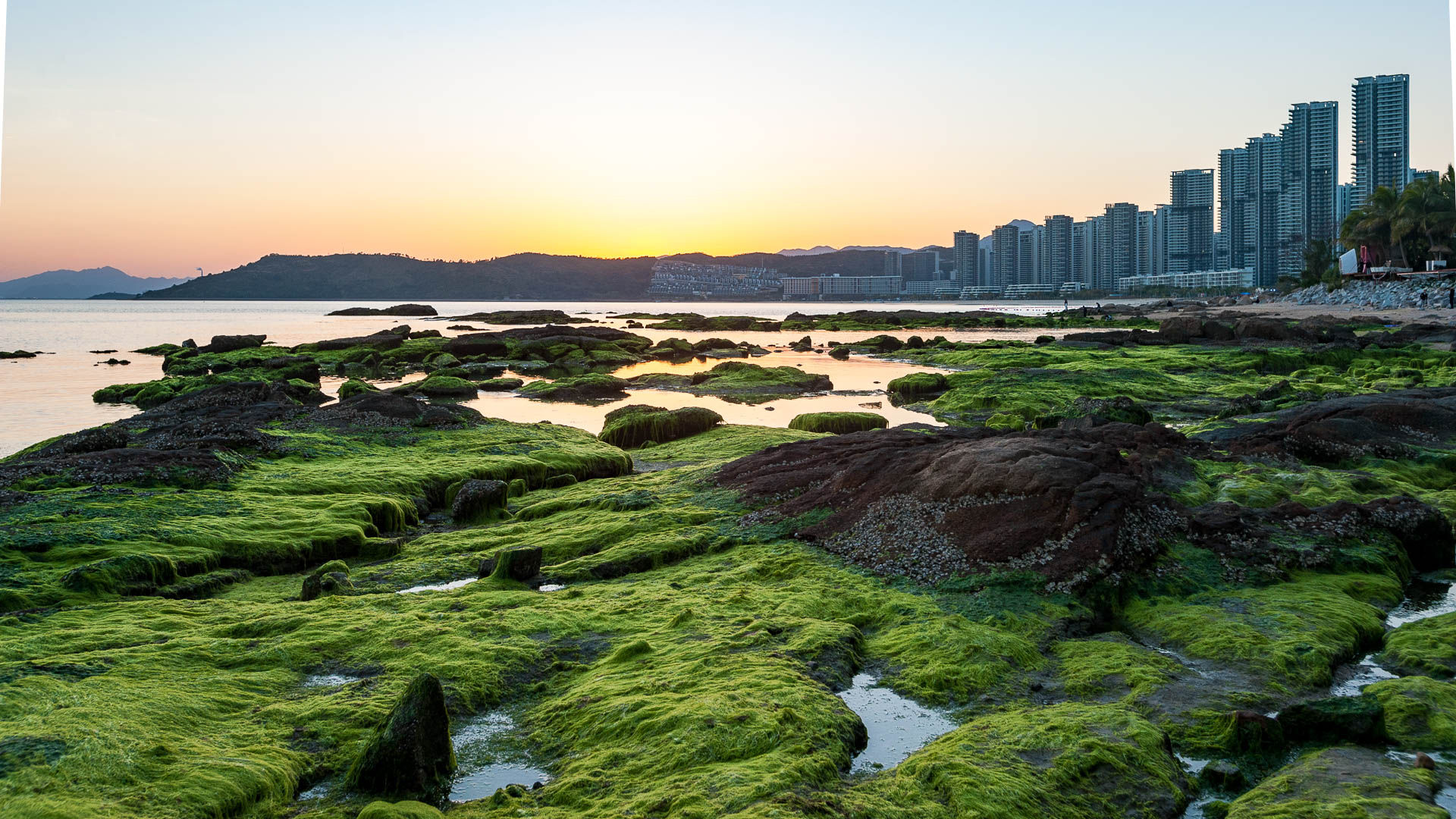 China — Shenzhen, Guangdong Province — landscape