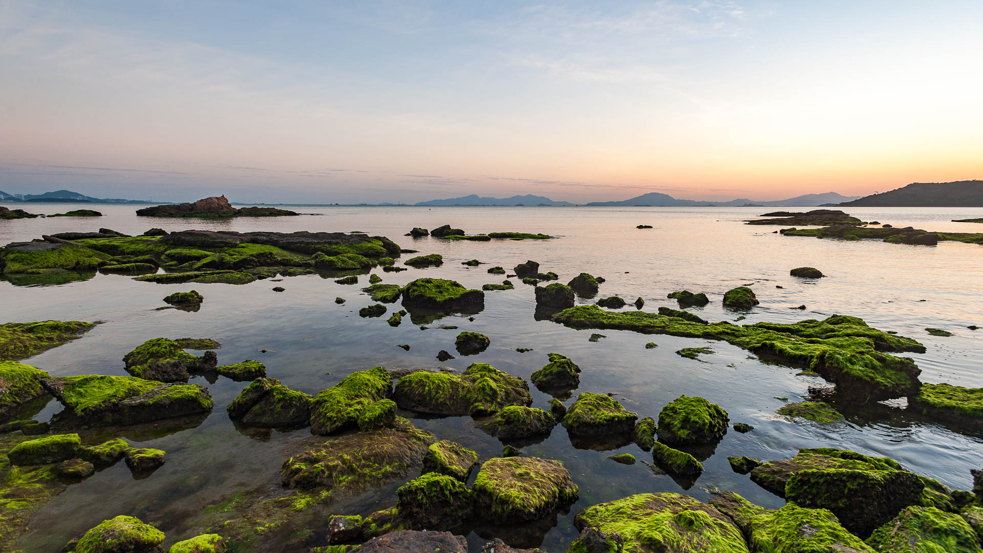 China — Shenzhen, Guangdong Province — landscape