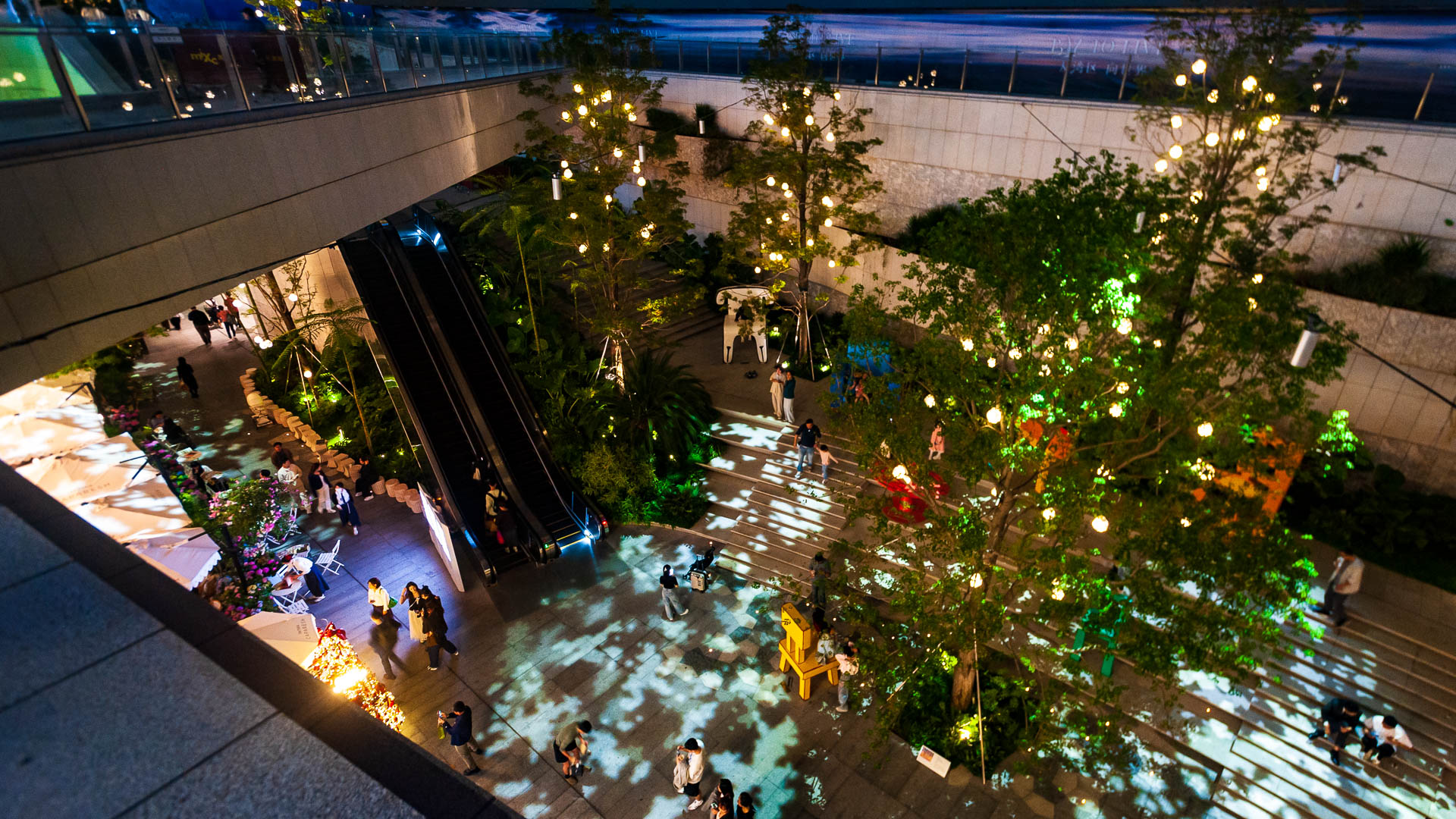 China — Shenzhen — urban