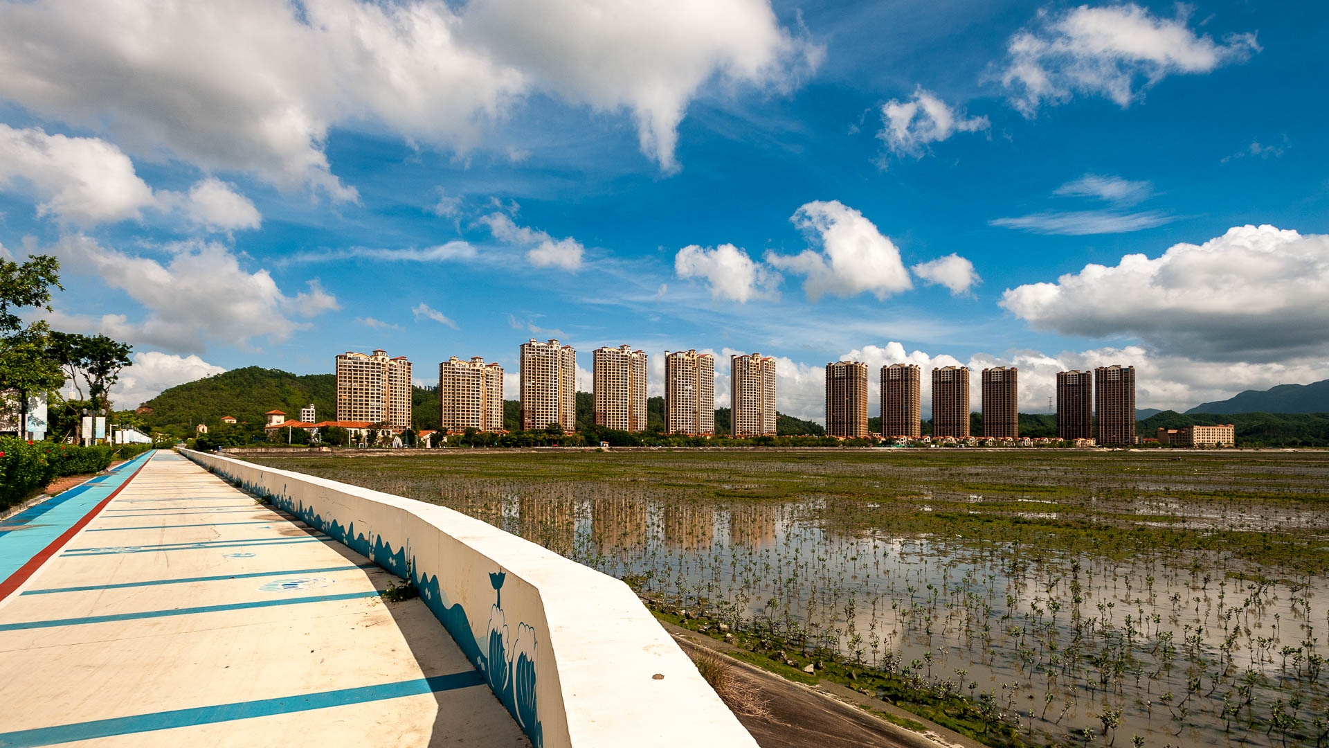 China — Shenzhen, Guangdong Province — urban