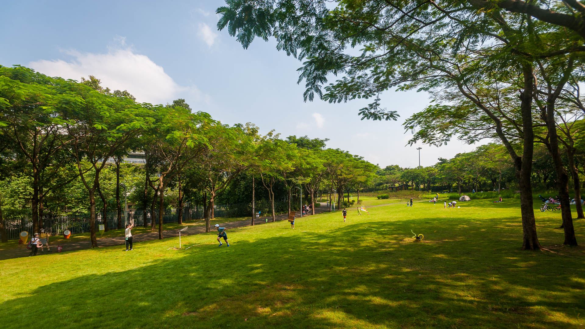 China — Guangdong, Shenzhen — landscape