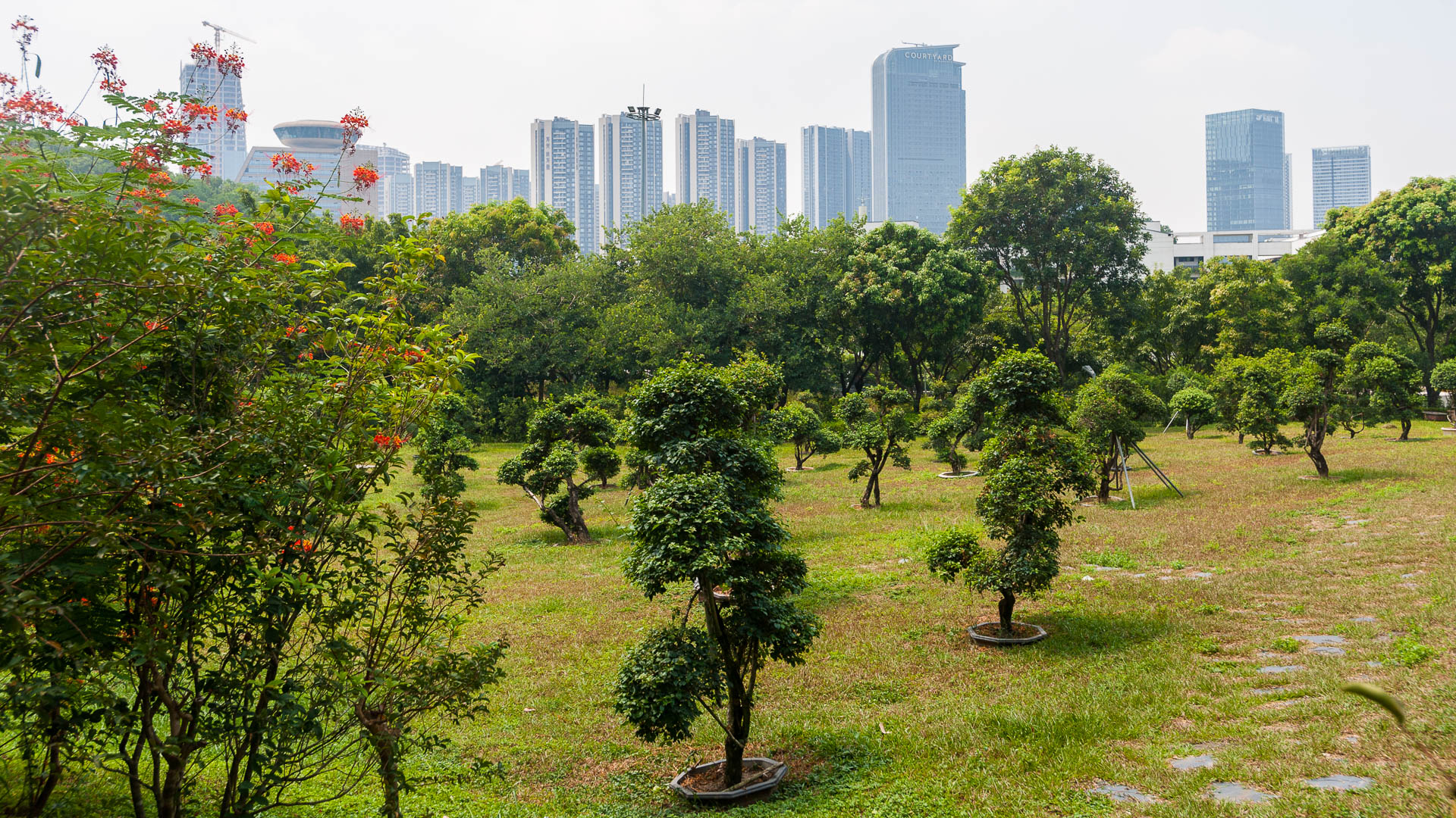 China — Guangdong, Shenzhen — landscape