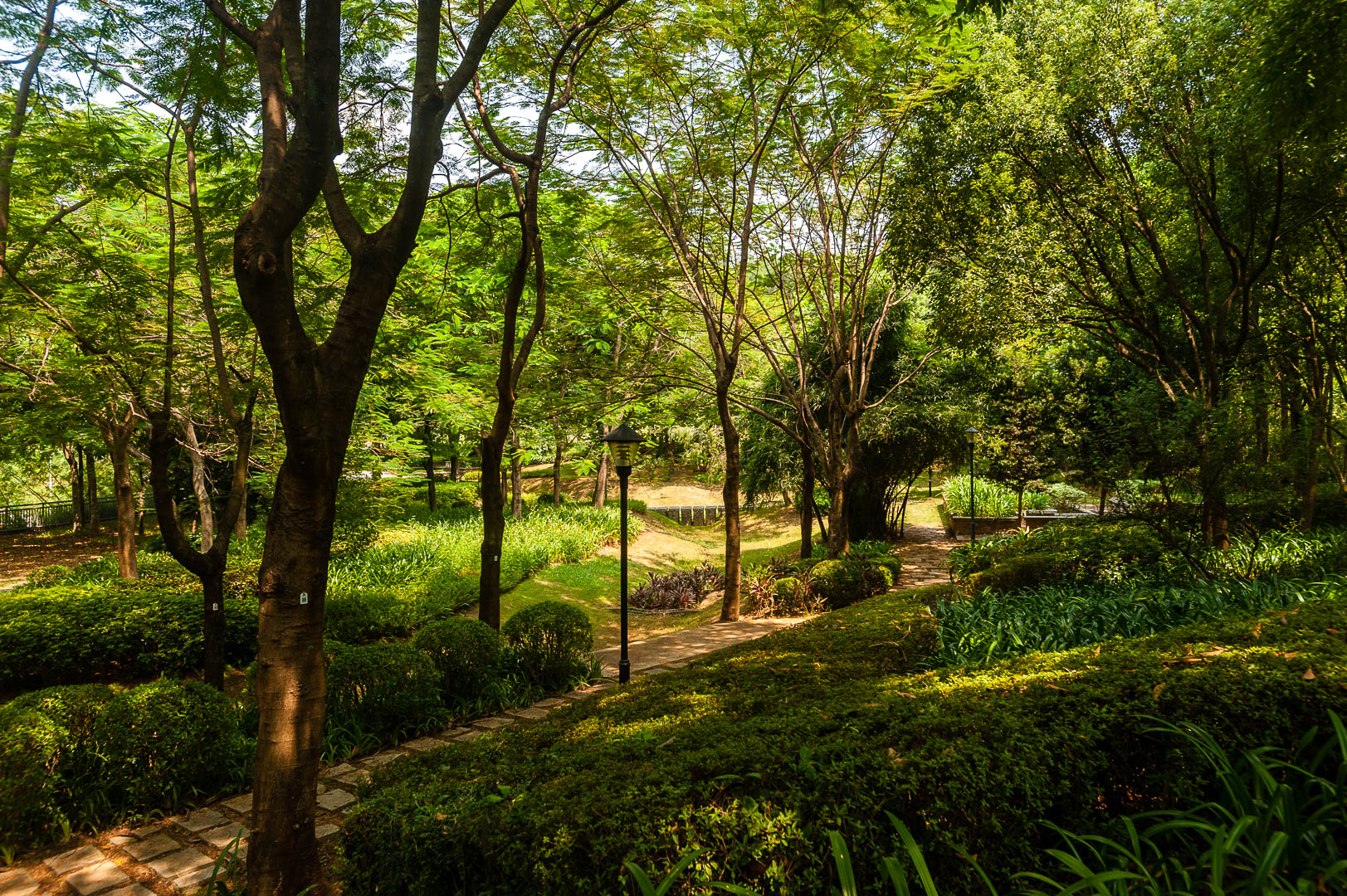 China — Guangdong, Shenzhen — landscape