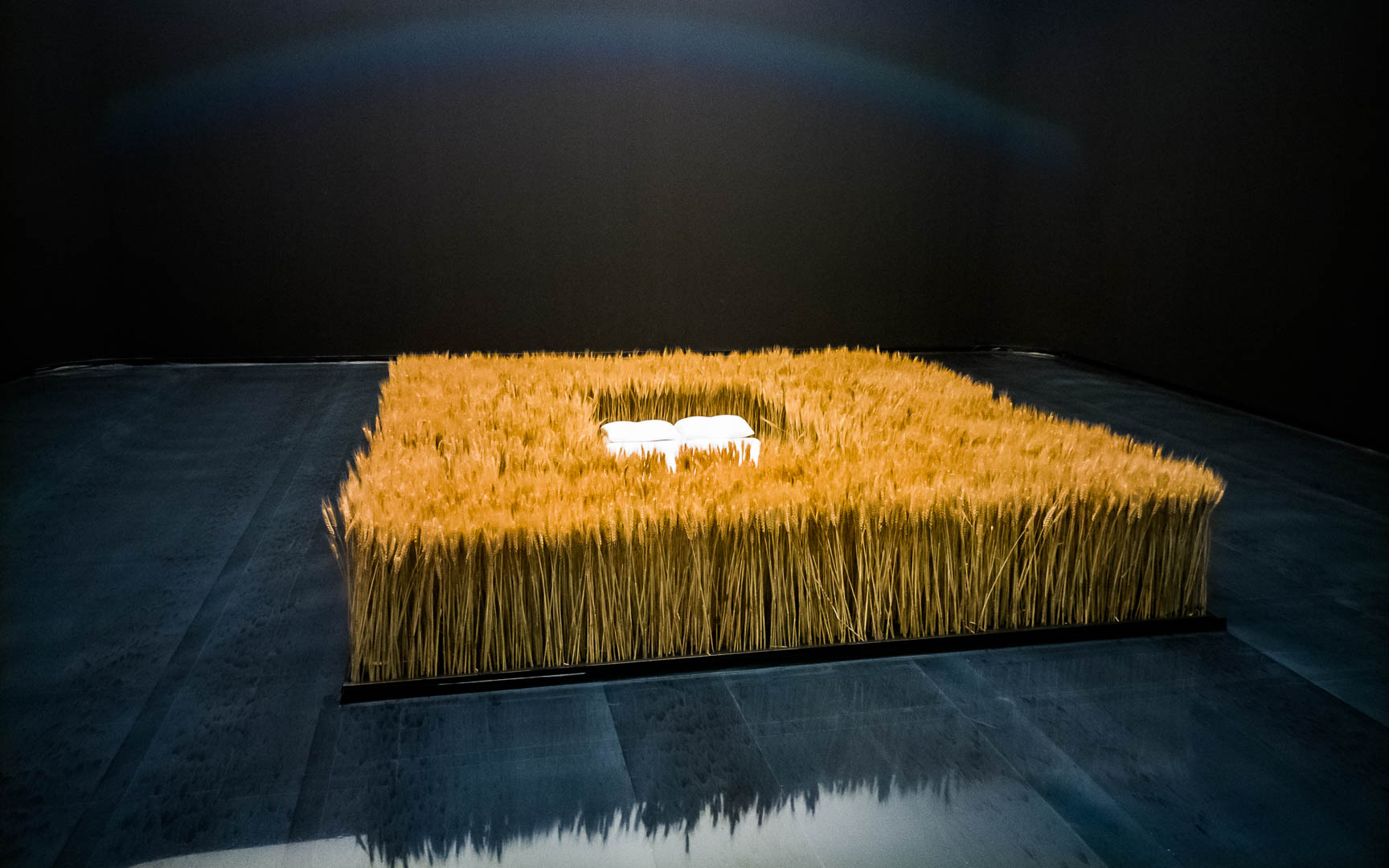 China — Shenzhen — other