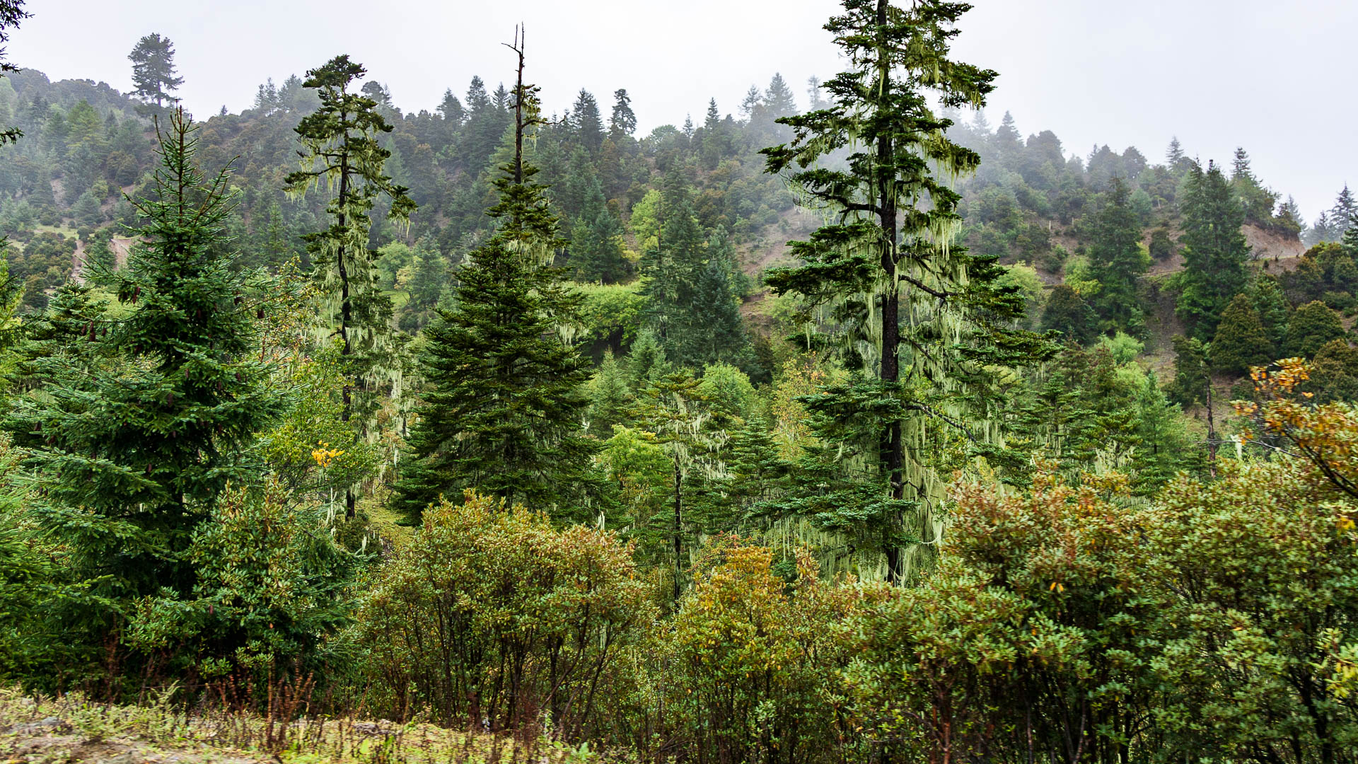 China — Yunnan — landscape