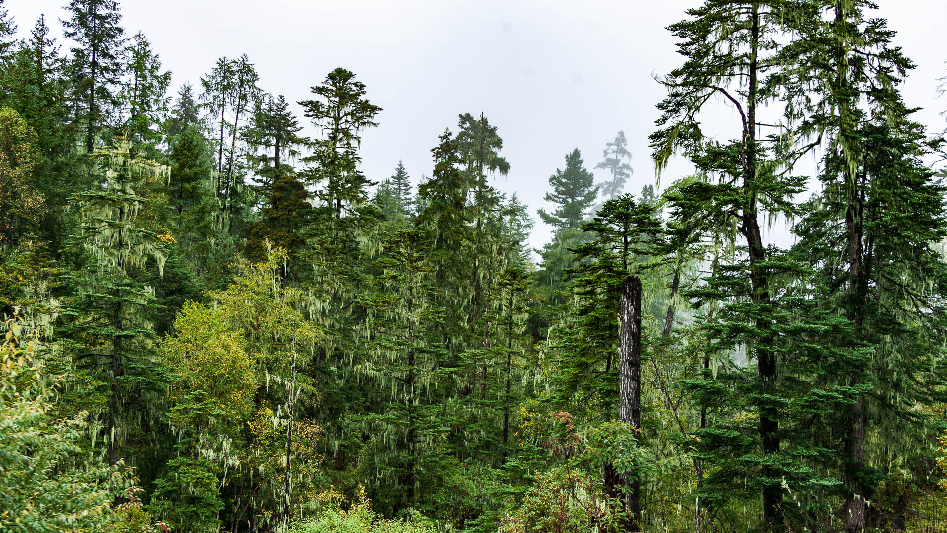 China — Yunnan — landscape