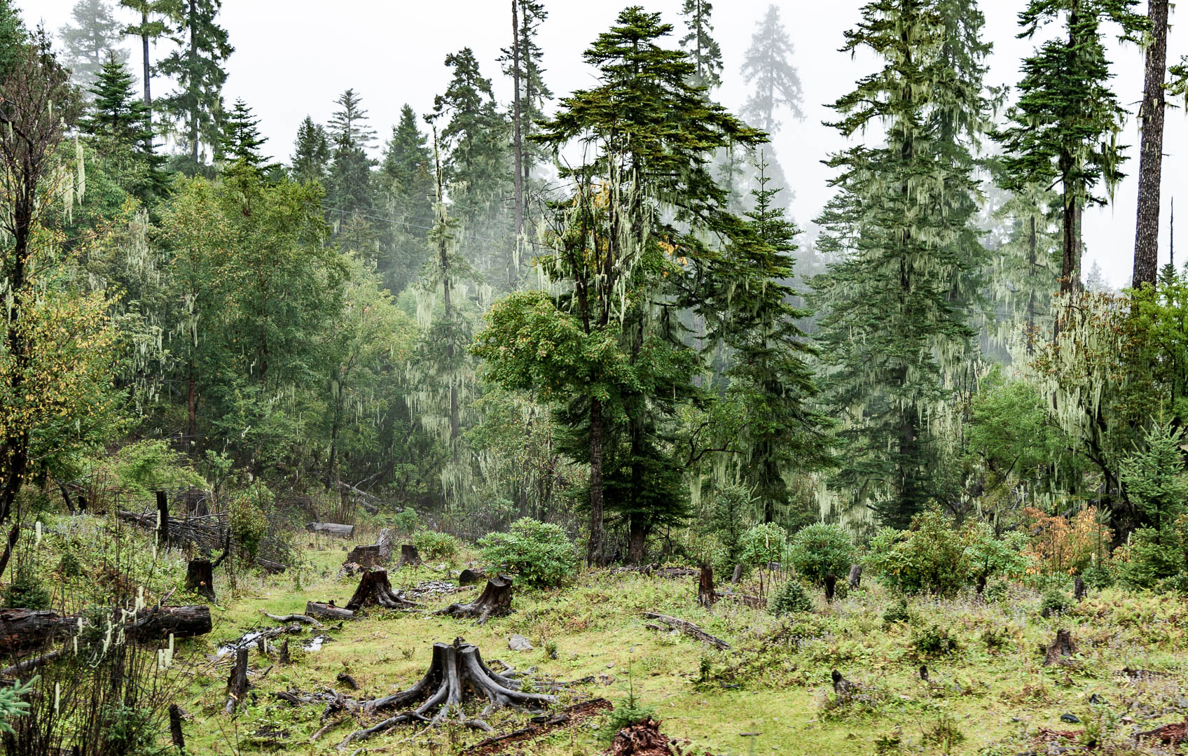 China — Yunnan — landscape