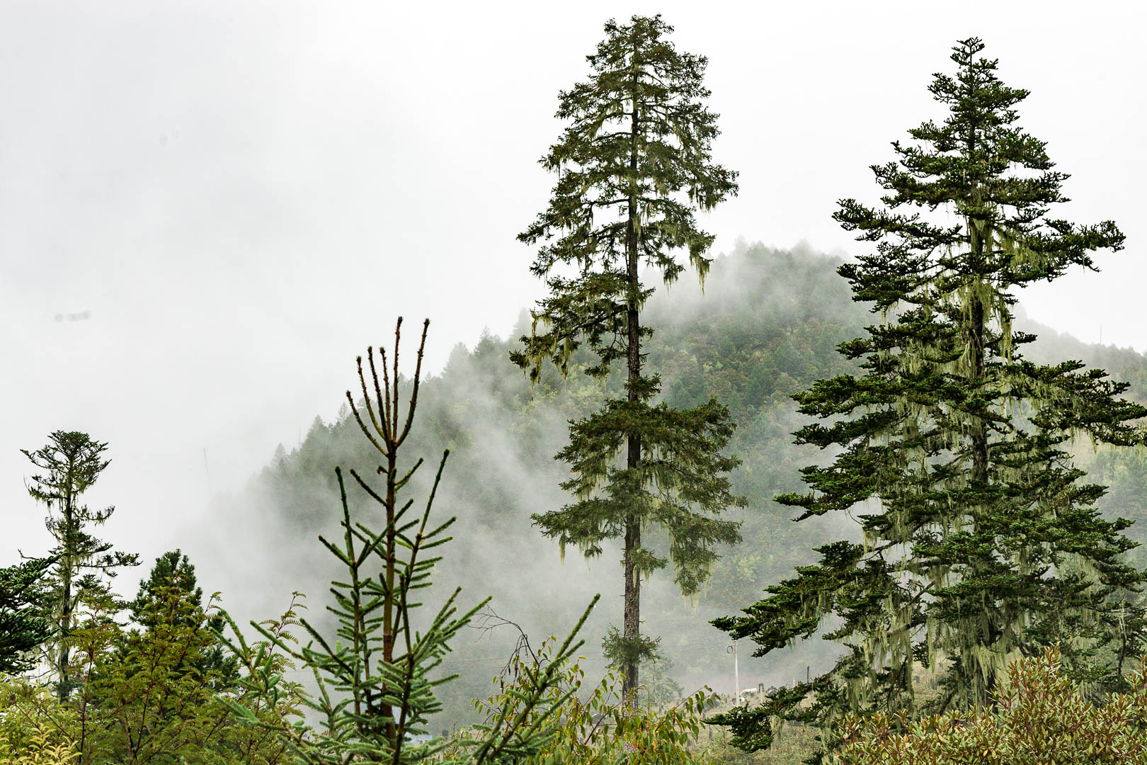 China — Yunnan — landscape