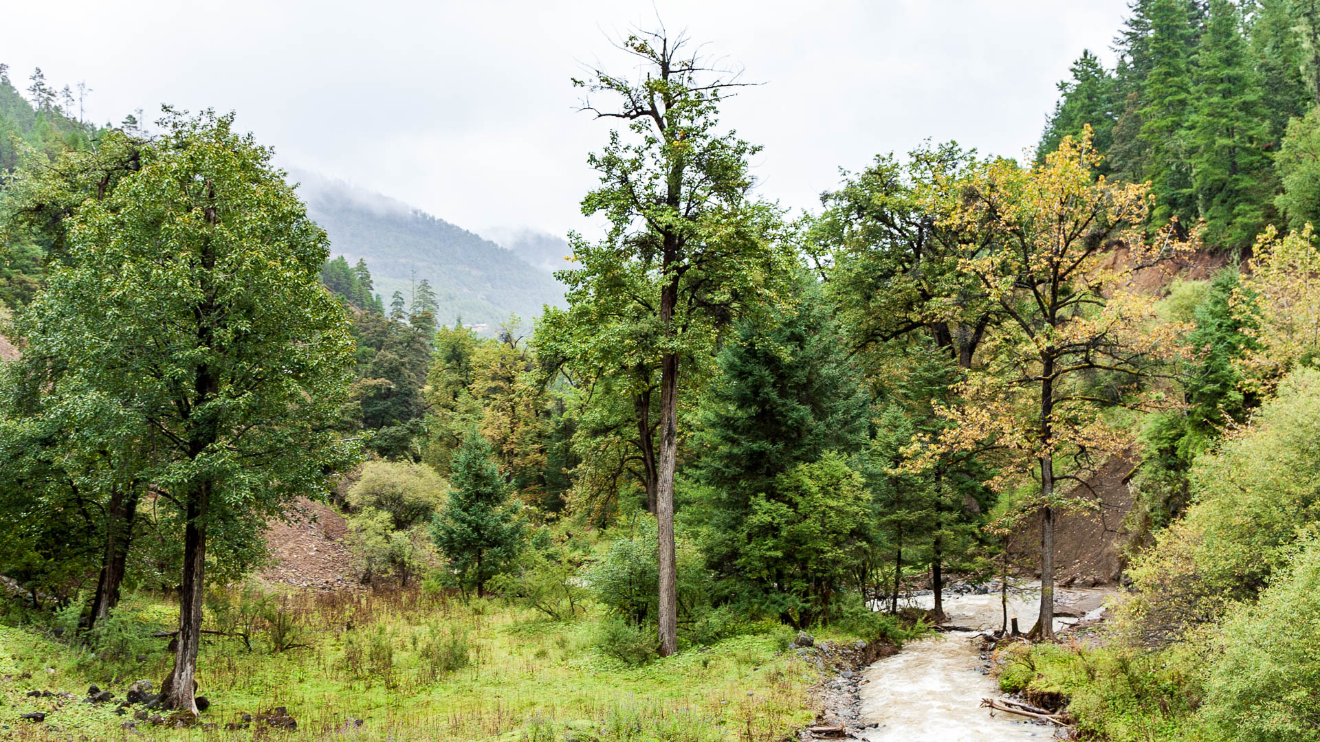 China — Yunnan — landscape