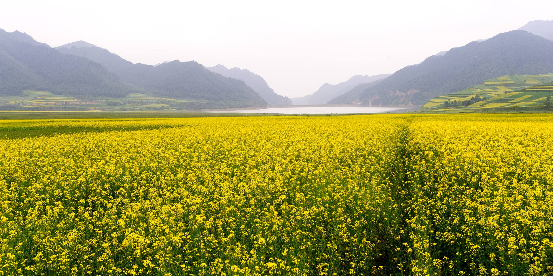 China — Guangdong, Huizhou — landscape