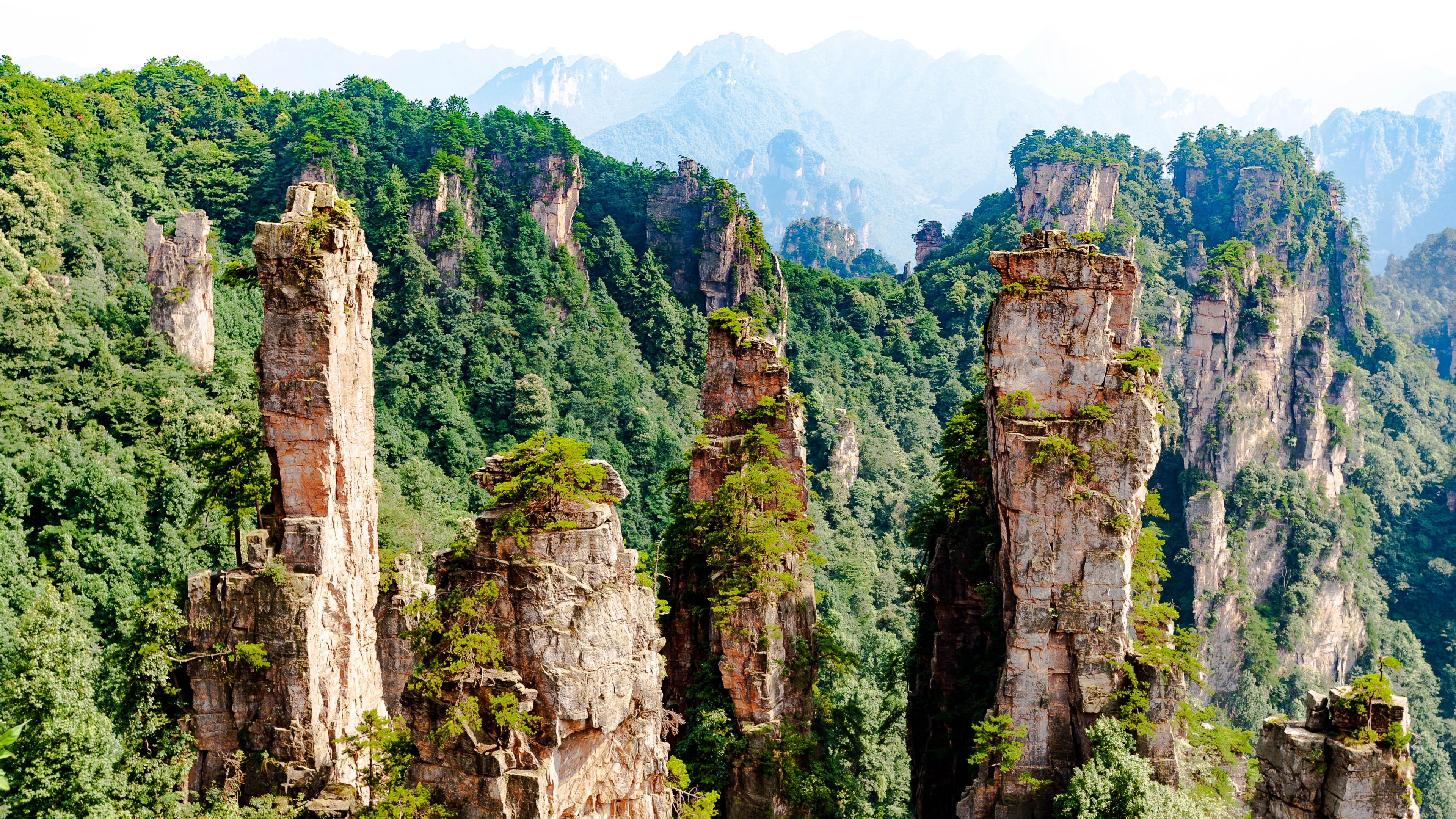 China — Hunan, Zhangjiajie — landscape