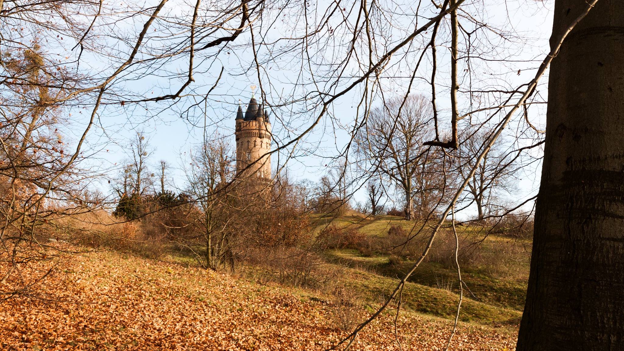 Germany — Brandenburg, Potsdam, Babelsberg — landscape