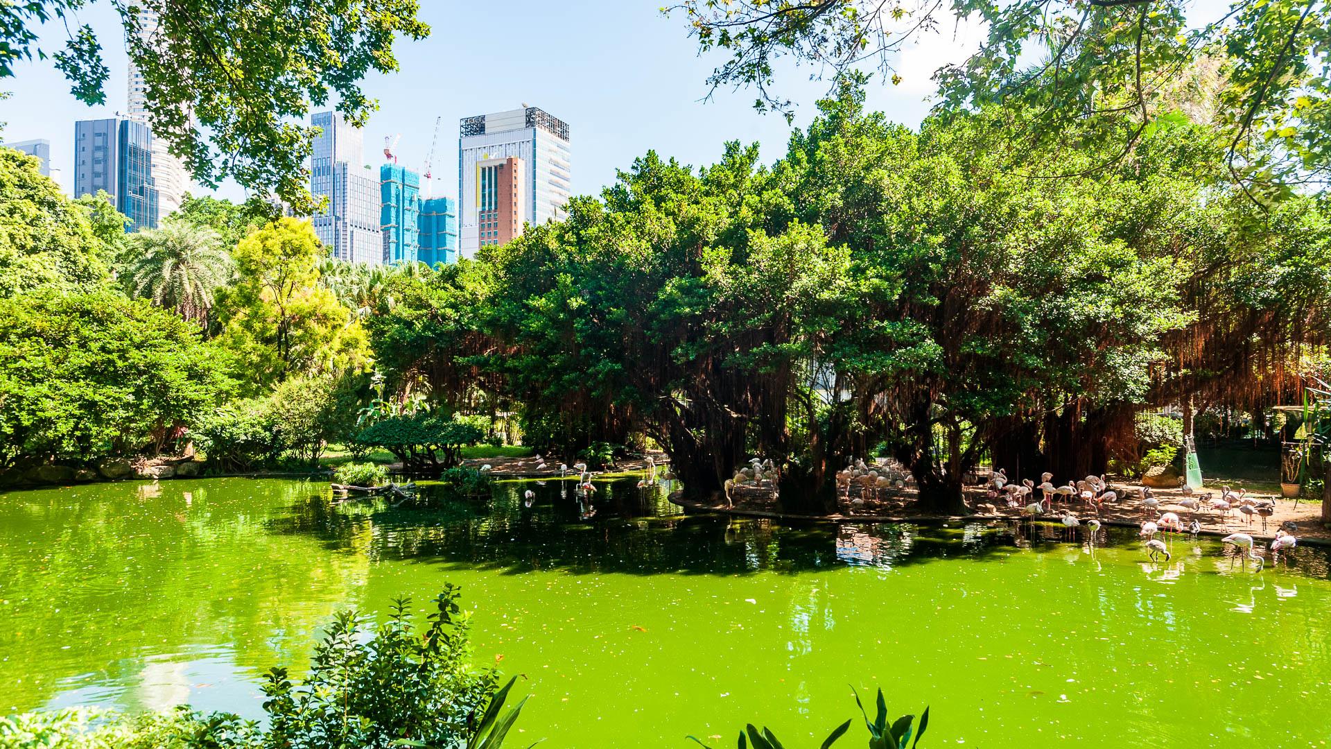 China — Hong Kong — landscape