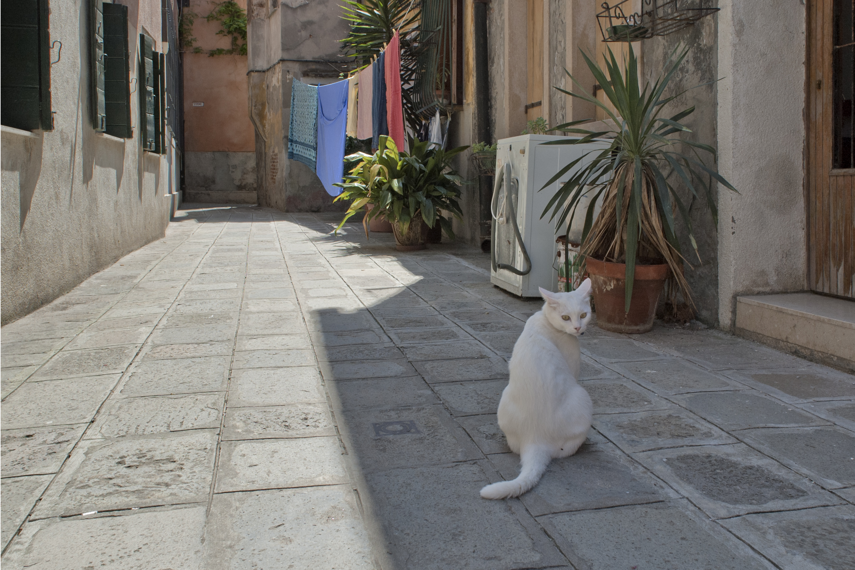 Italy — Veneto, Venice — urban